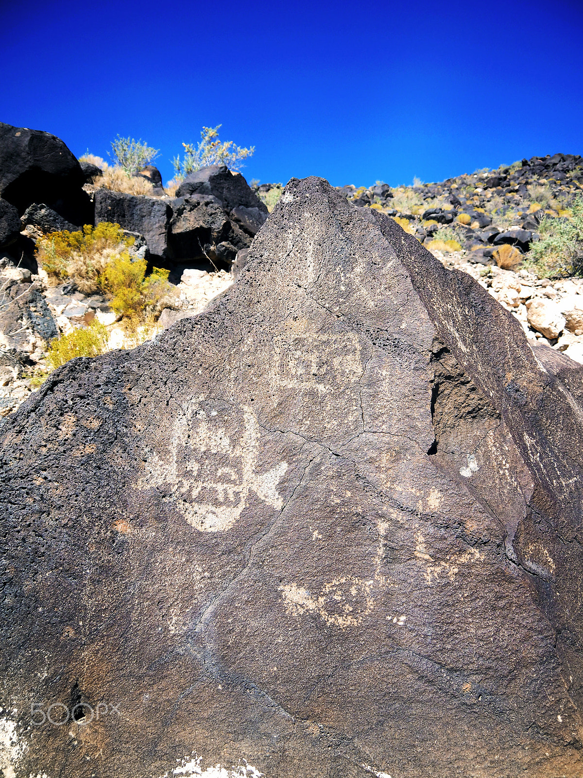 Olympus OM-D E-M1 sample photo. Petroglyph national monument photography