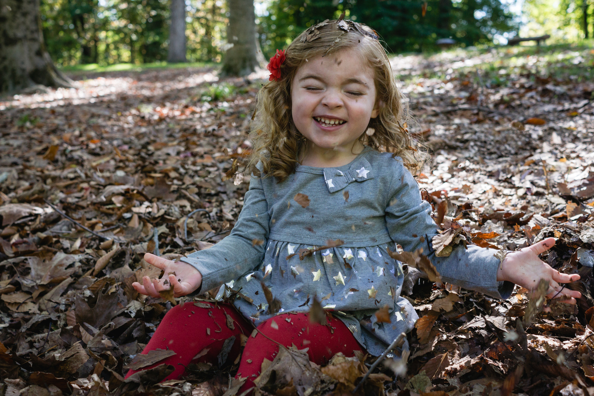 Sony FE 28mm F2 sample photo. Love those leaves photography