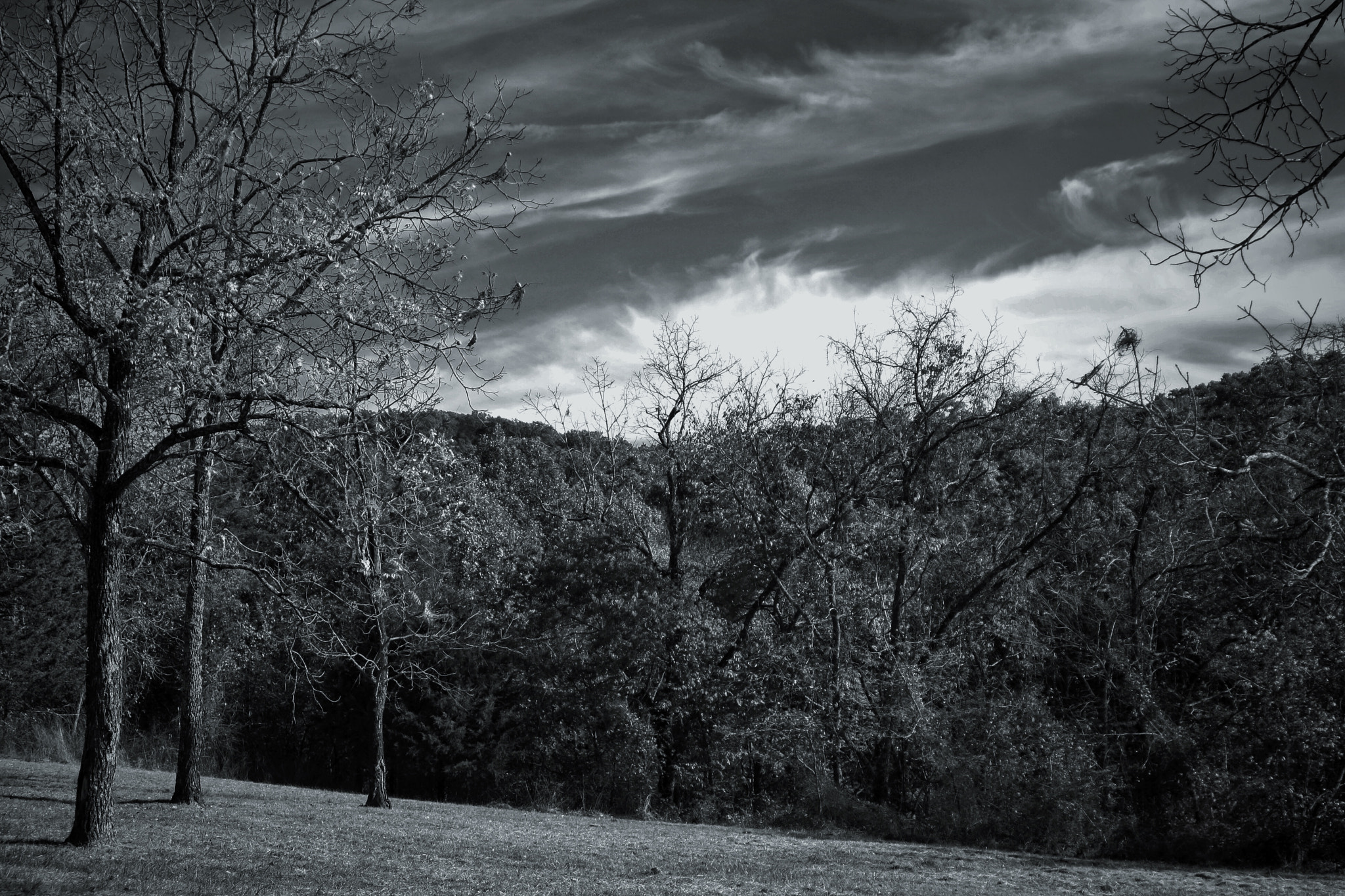 Tamron AF 28-200mm F3.8-5.6 XR Di Aspherical (IF) Macro sample photo. Caney mountain wildlife refuge photography