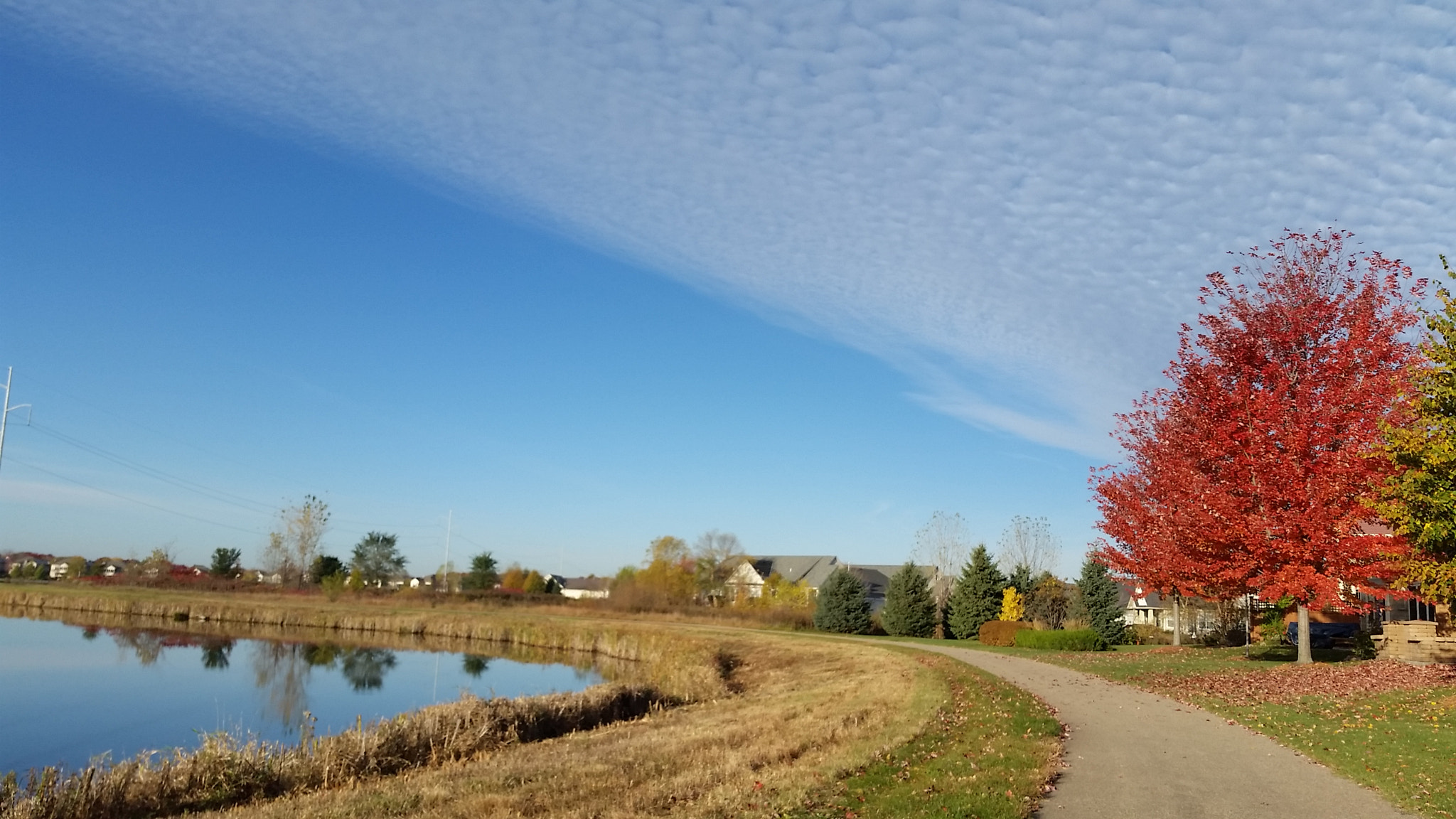 Samsung Galaxy S5 Active sample photo. Walkroot photography