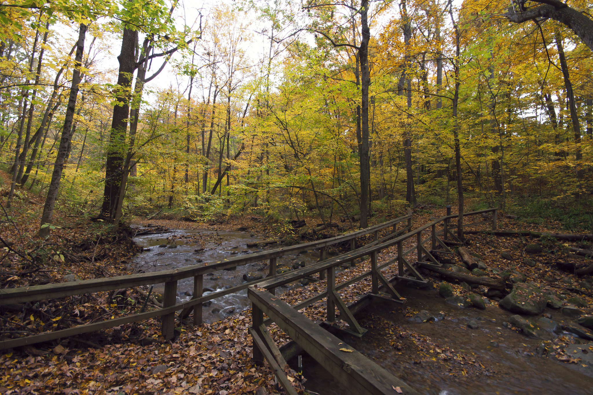 Sony SLT-A65 (SLT-A65V) sample photo. Wood bridge photography