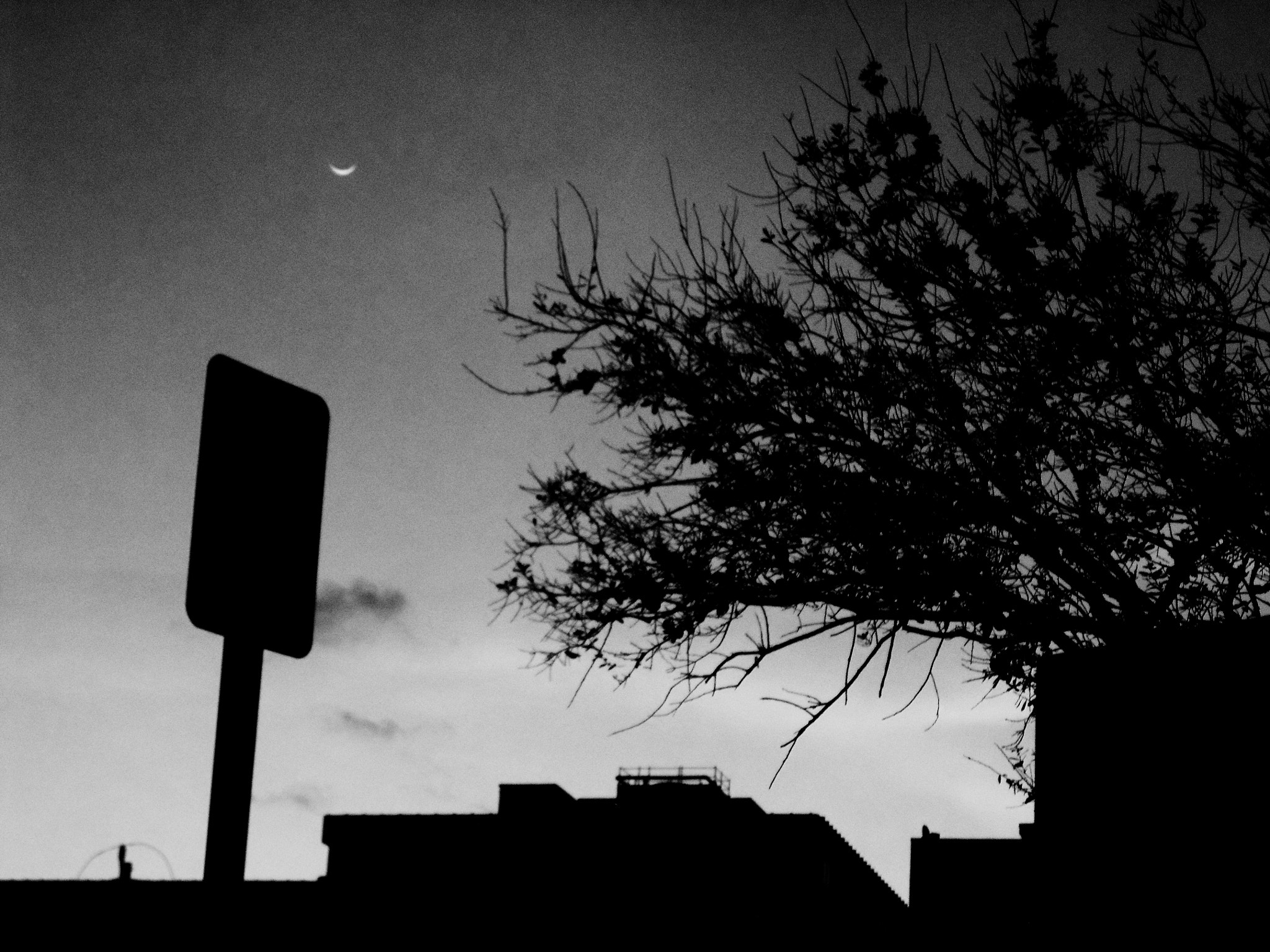 Samsung PL120,PL121 / VLUU PL120,PL121 sample photo. Lunar terror photography