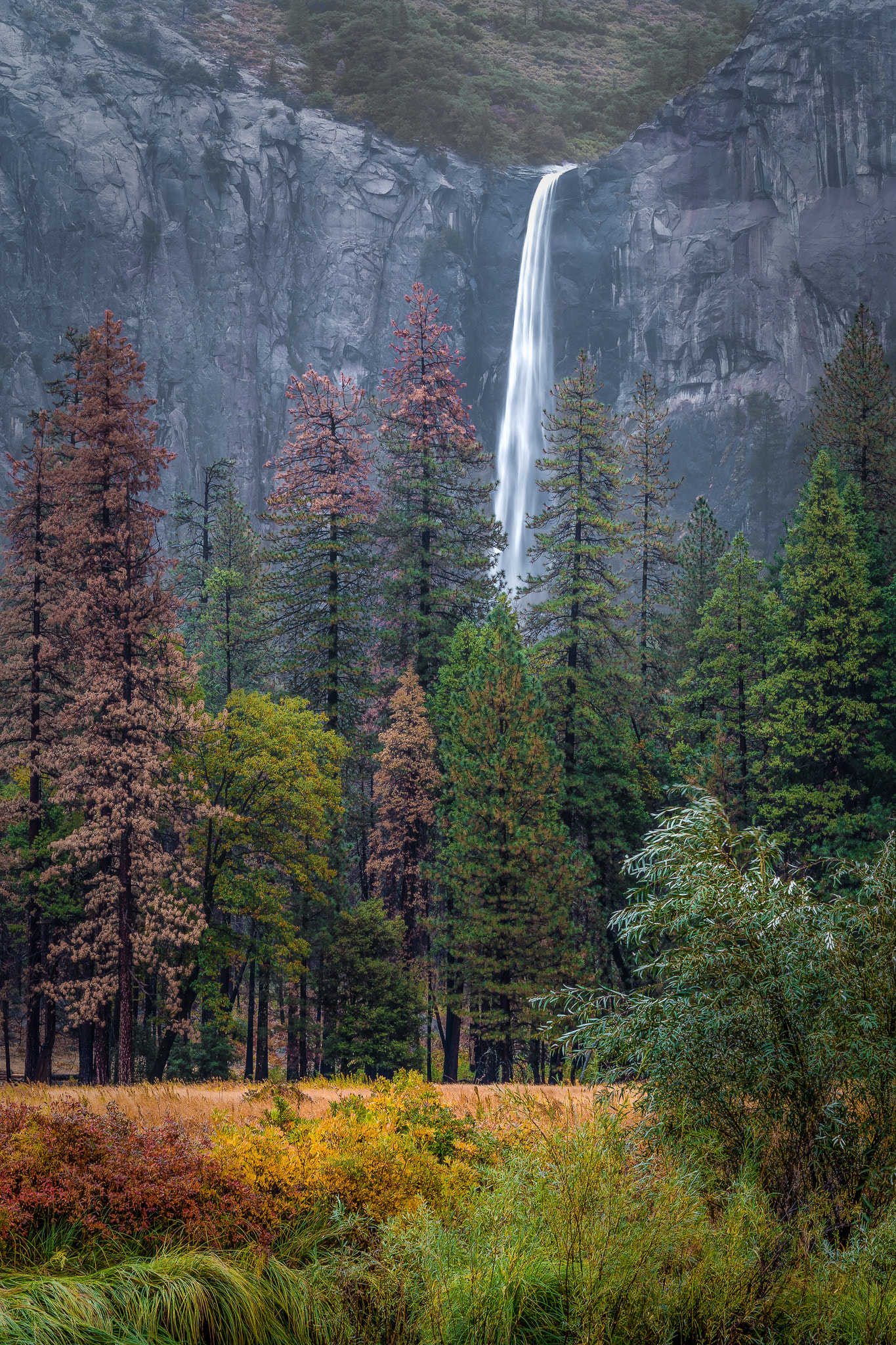 Nikon AF-S Nikkor 85mm F1.4G sample photo. "bridalveil falls in fall" photography