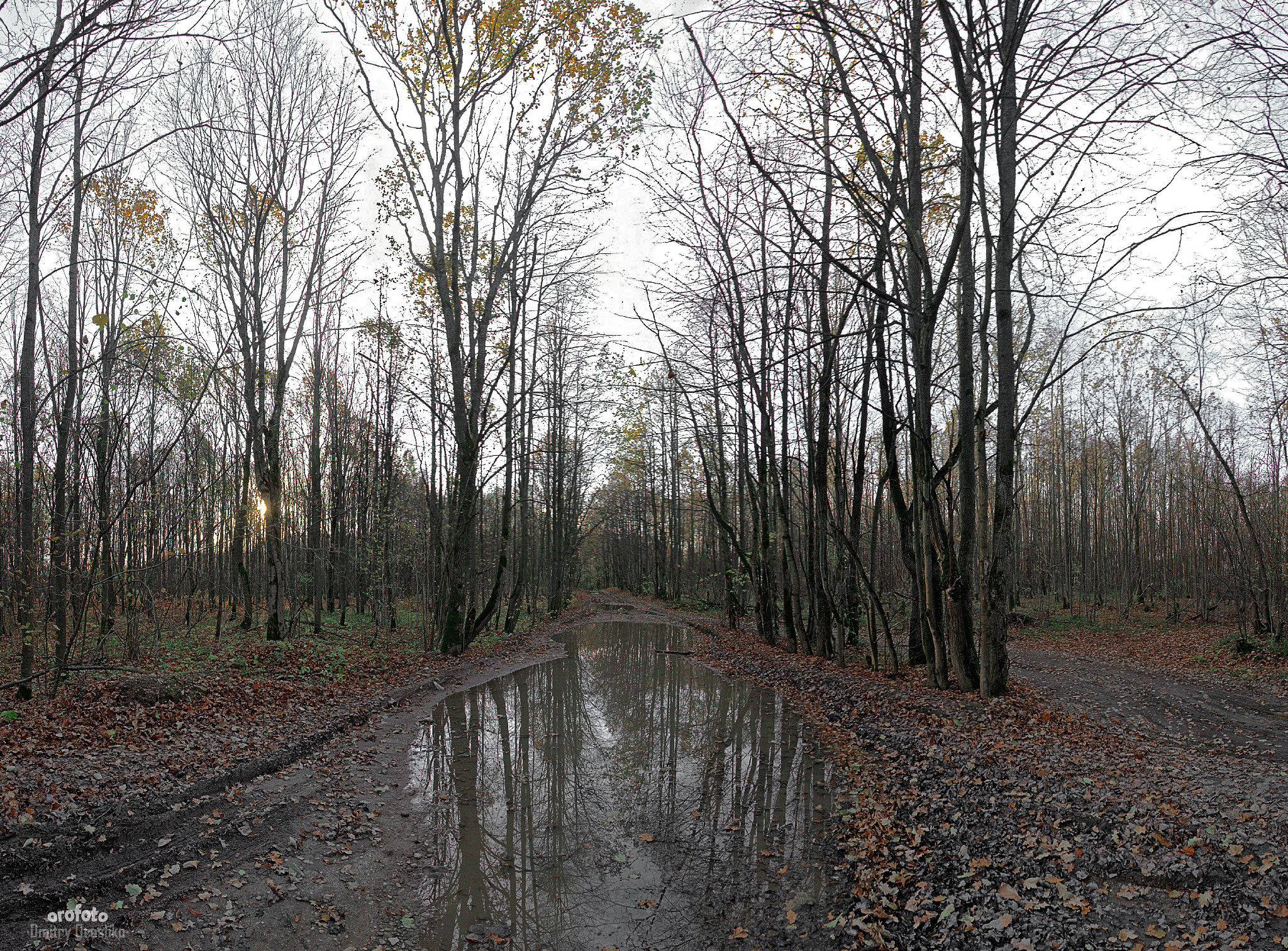 Sony a99 II + Sony DT 16-50mm F2.8 SSM sample photo. Autumn photography