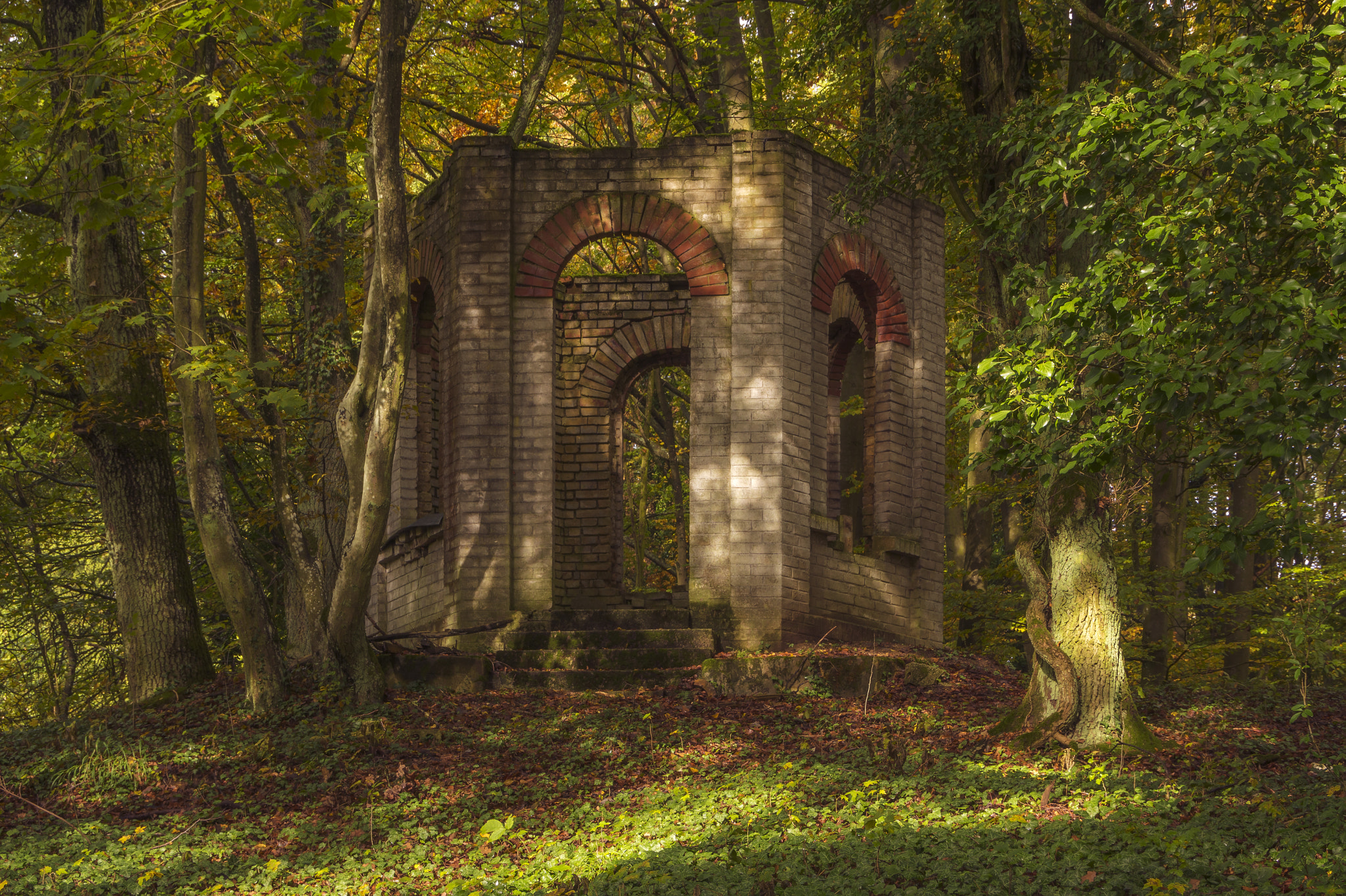 Tamron AF 28-105mm F4-5.6 [IF] sample photo. Ruin in the woods photography