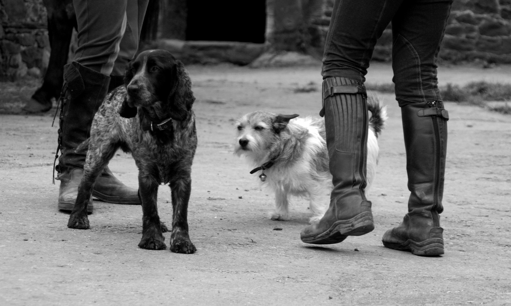 Sony Alpha DSLR-A200 sample photo. On the yard photography