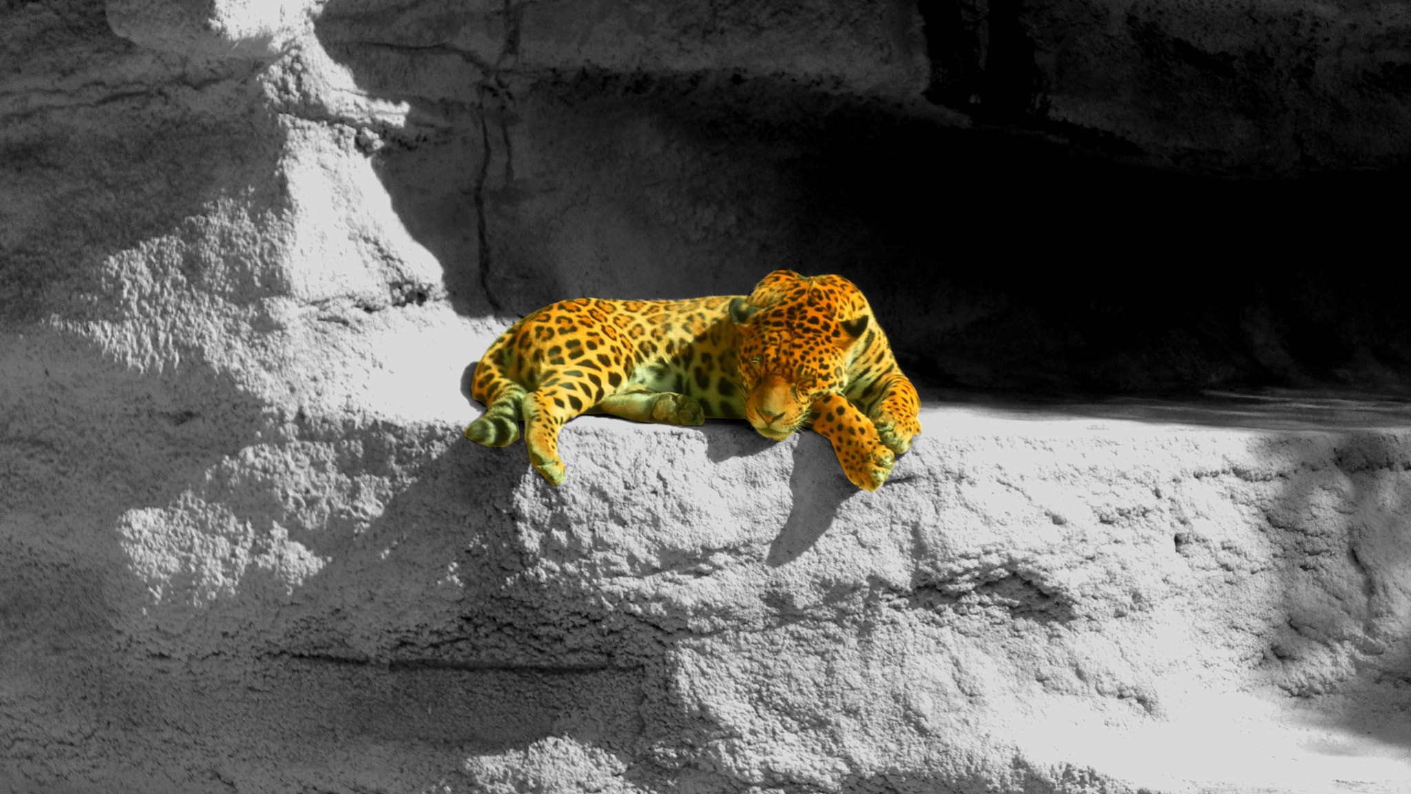 Samsung ST60 / VLUU ST60 /  TL105 /  ST61 sample photo. Léopard - zoo de beauval - france photography