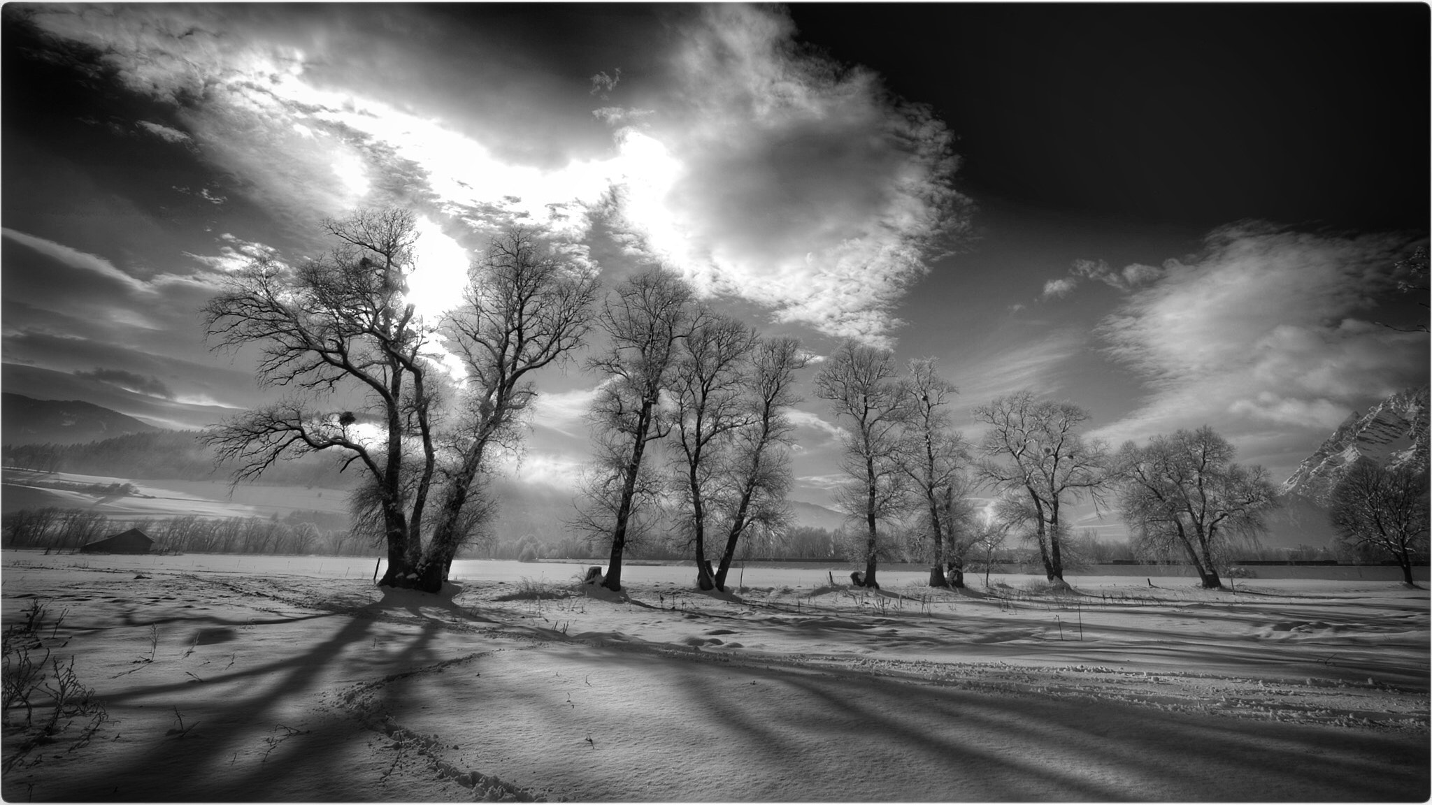 Canon EF 14mm F2.8L II USM sample photo. Long shadows photography