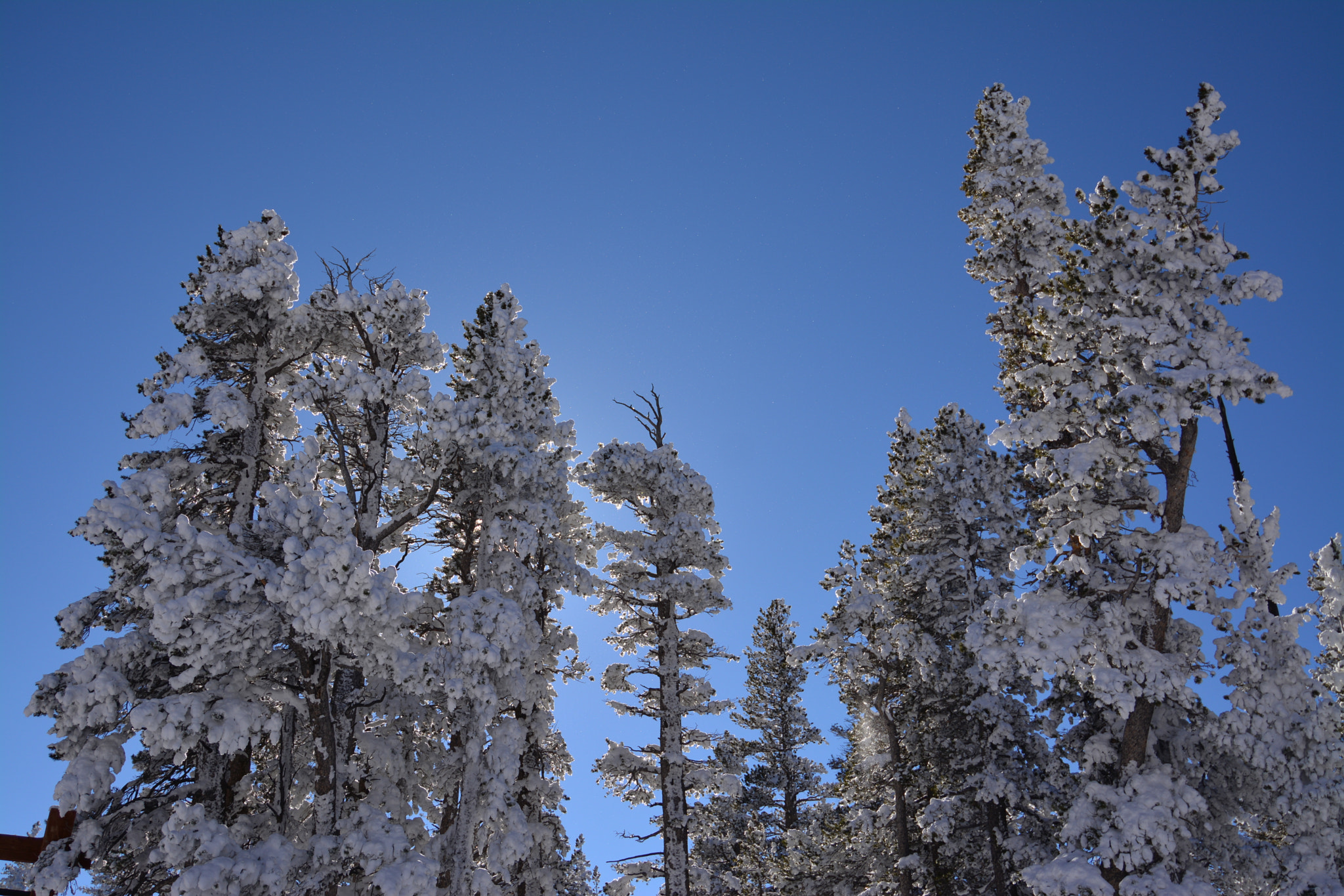Nikon AF-S Nikkor 18-35mm F3.5-4.5G ED sample photo. Blue tahoe photography