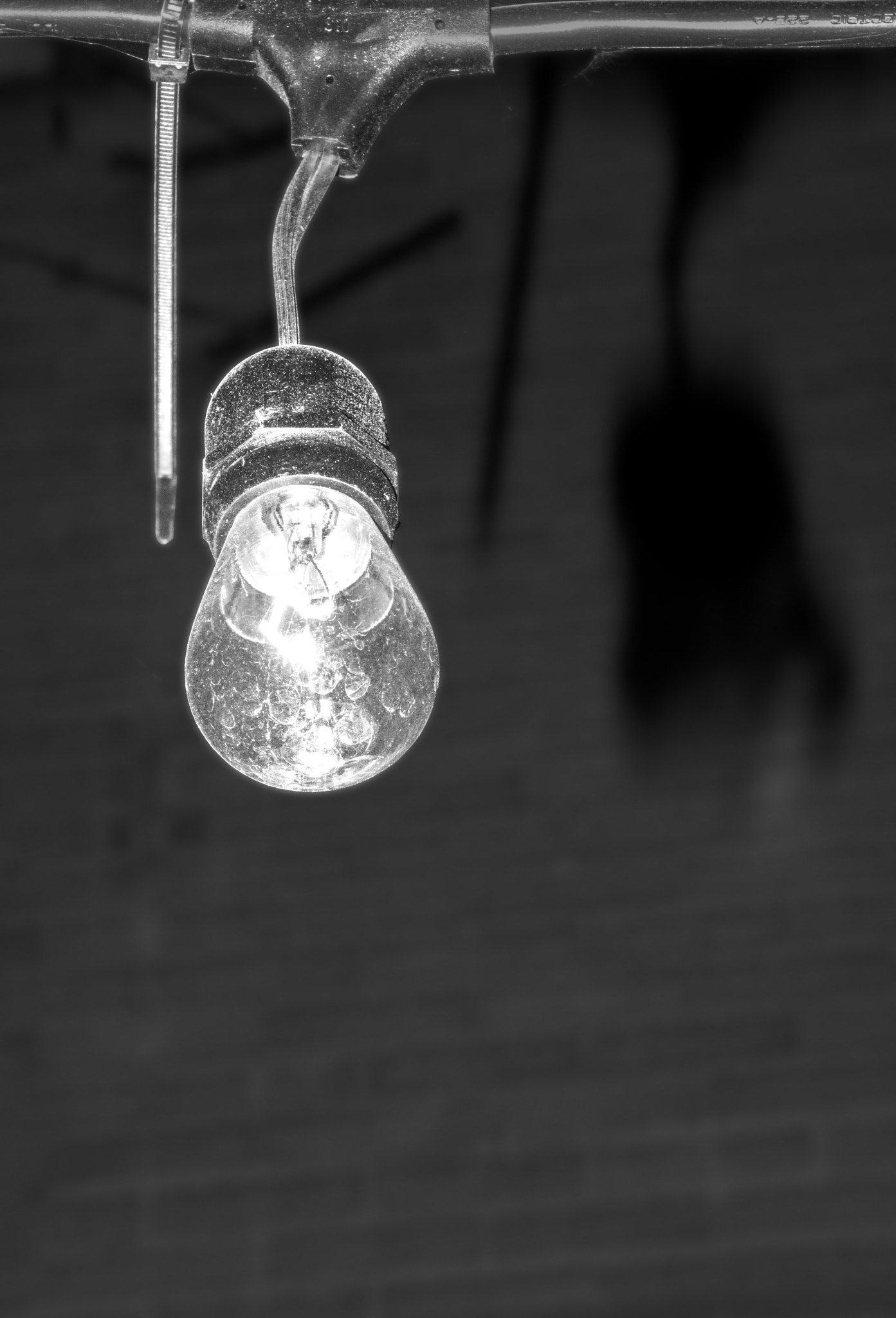 Canon EOS 750D (EOS Rebel T6i / EOS Kiss X8i) sample photo. The bulb photography