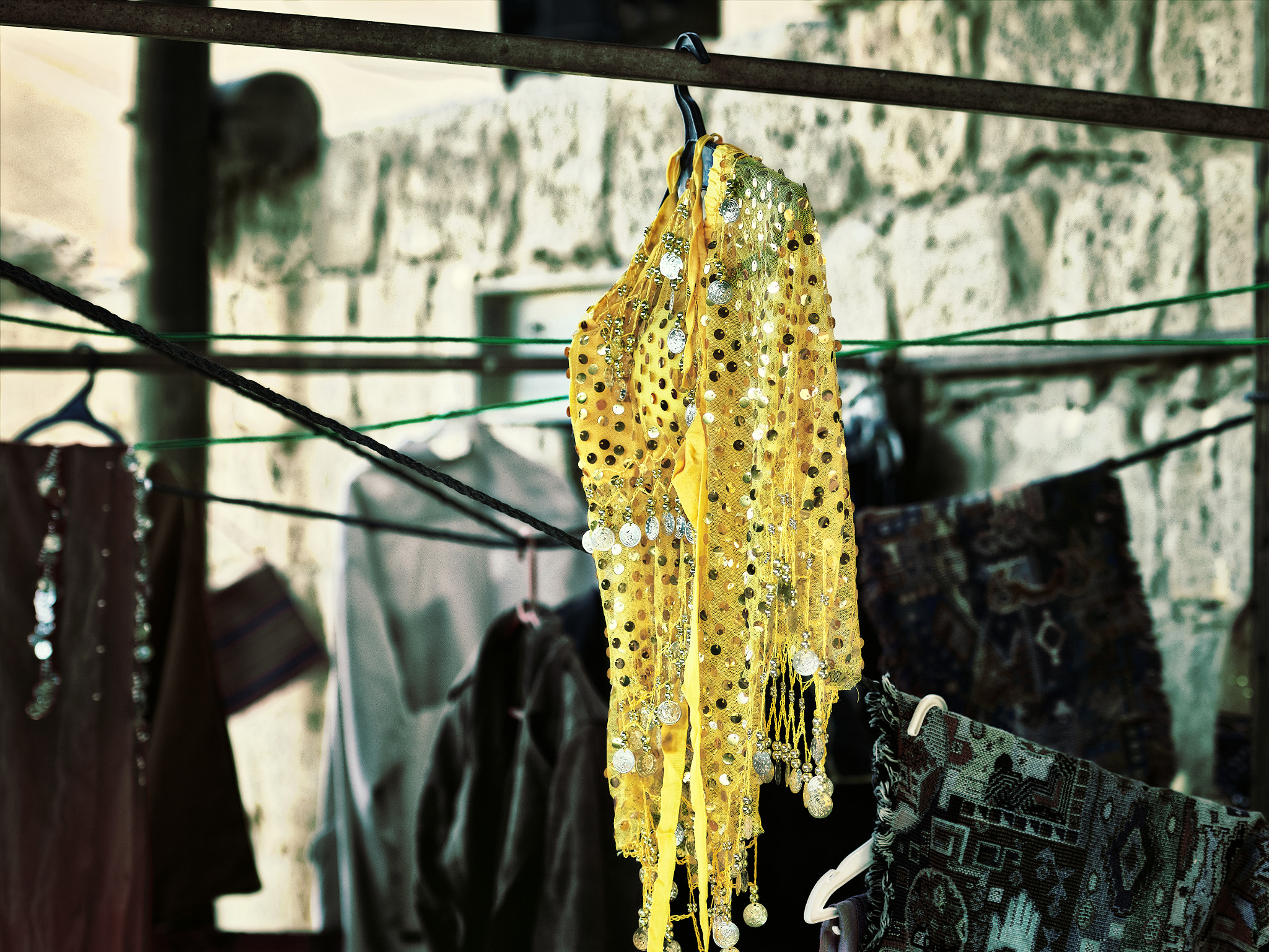Nikon D500 sample photo. Yellow photography
