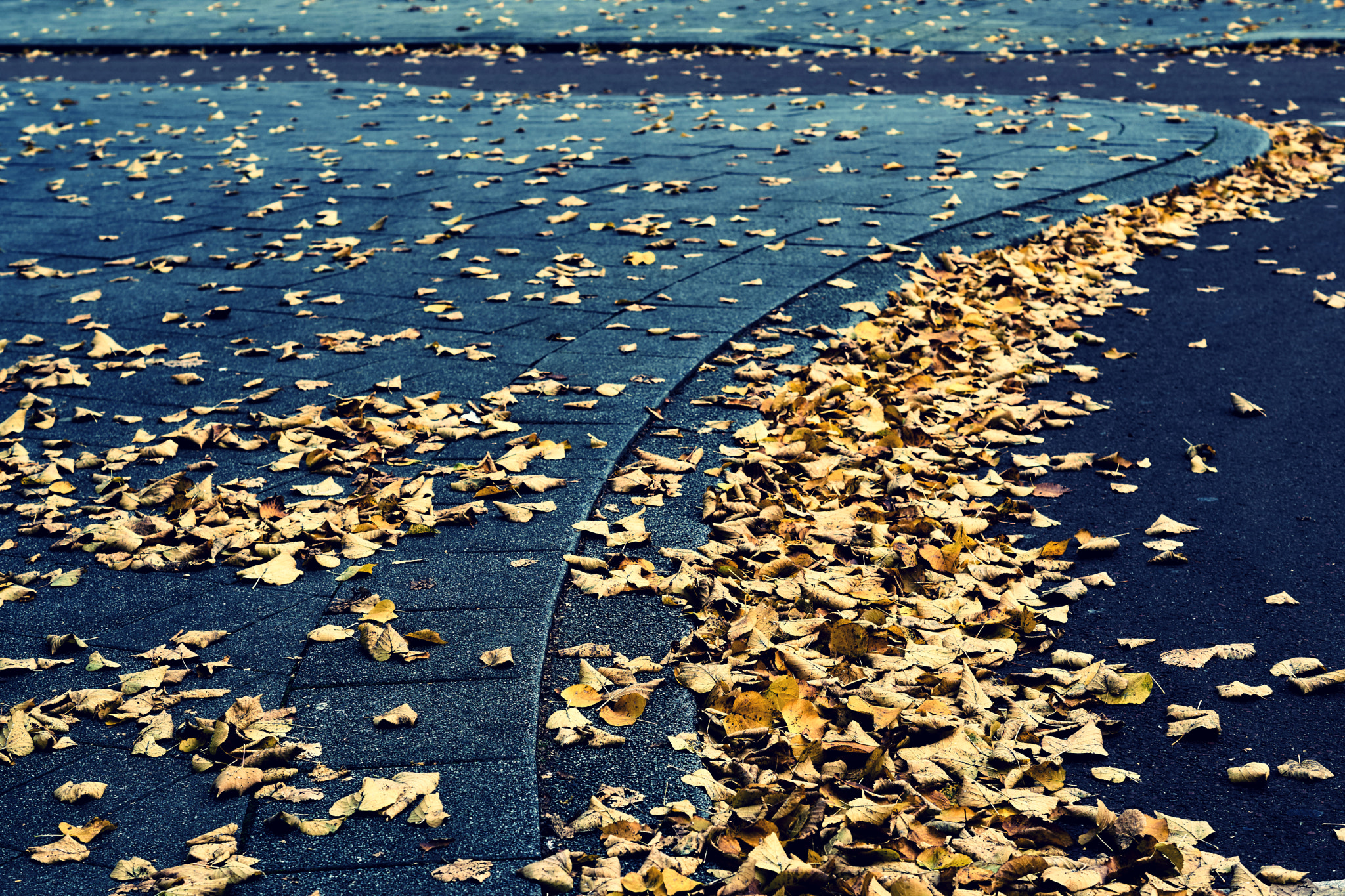Sony ILCA-77M2 + Sony DT 50mm F1.8 SAM sample photo. Windy road photography