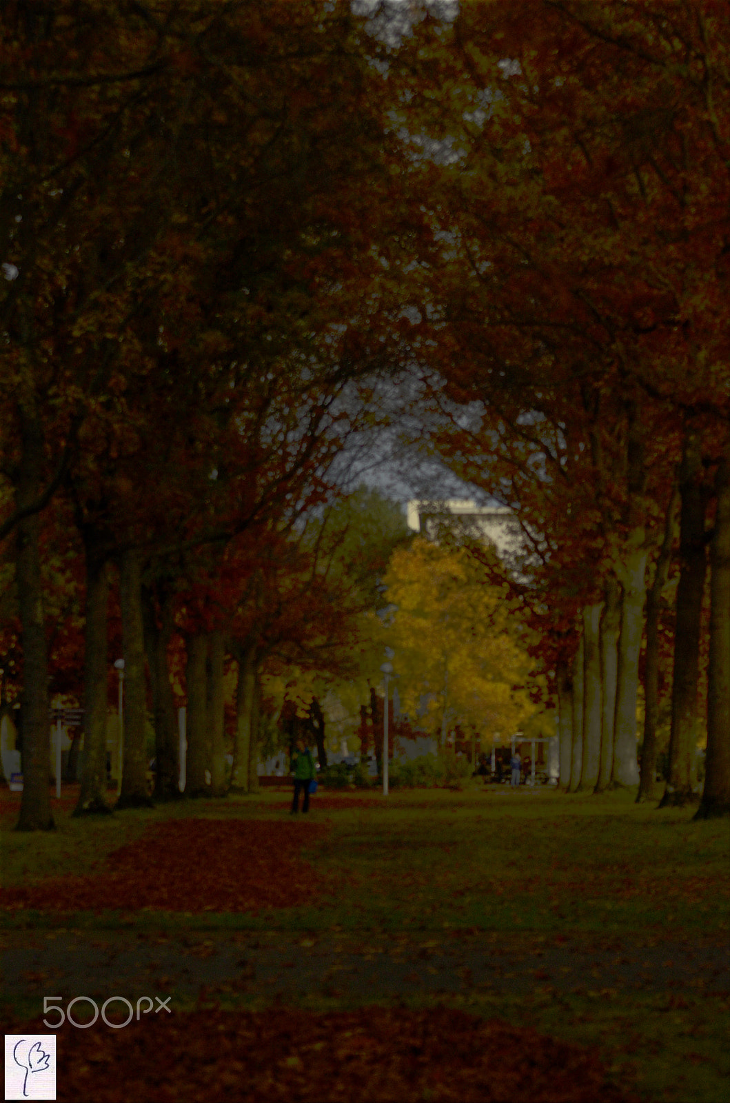 Sigma 70-300mm F4-5.6 APO Macro Super II sample photo. Fall painting photography