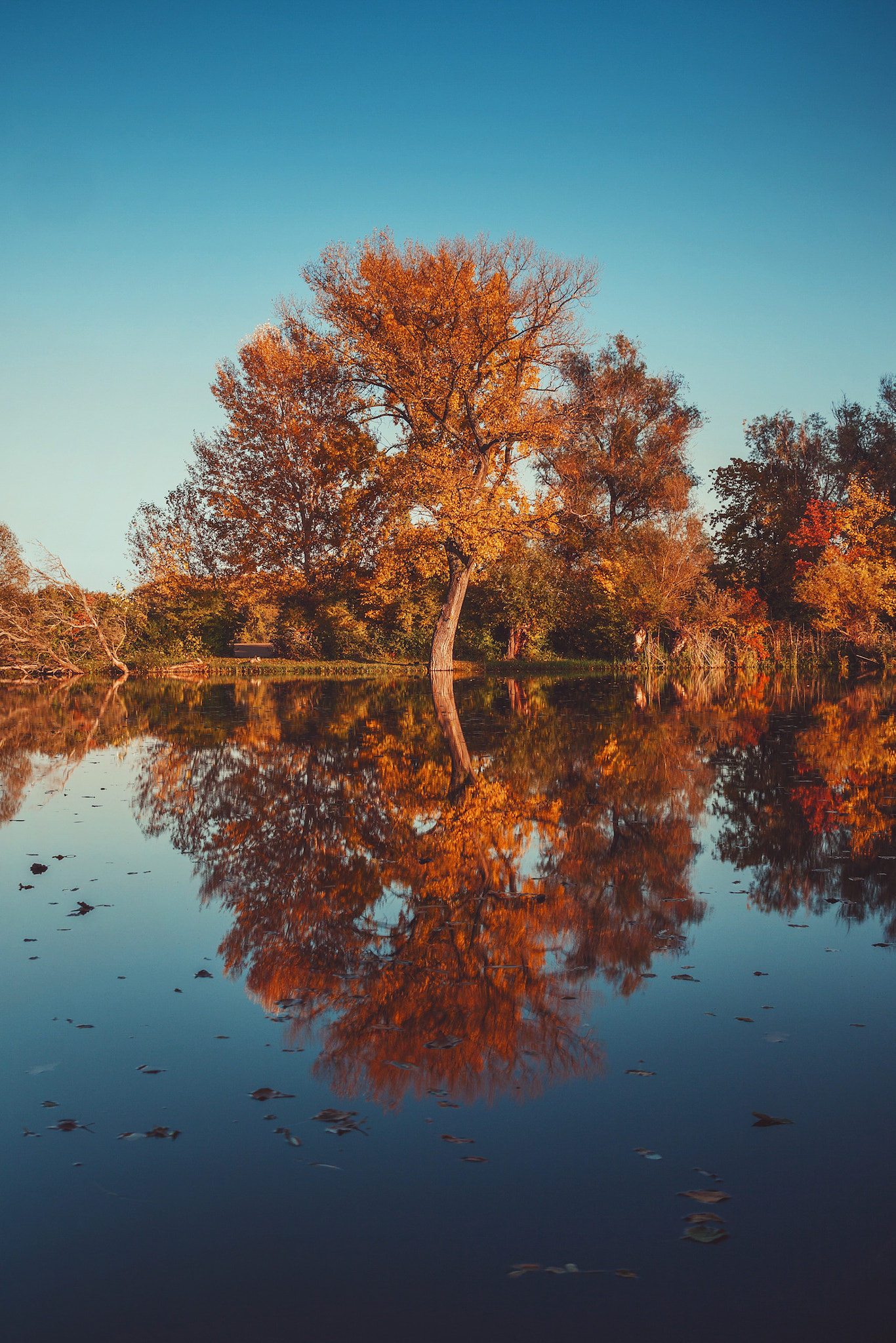 Canon EOS 50D sample photo. Autumn reflection vol.3 photography