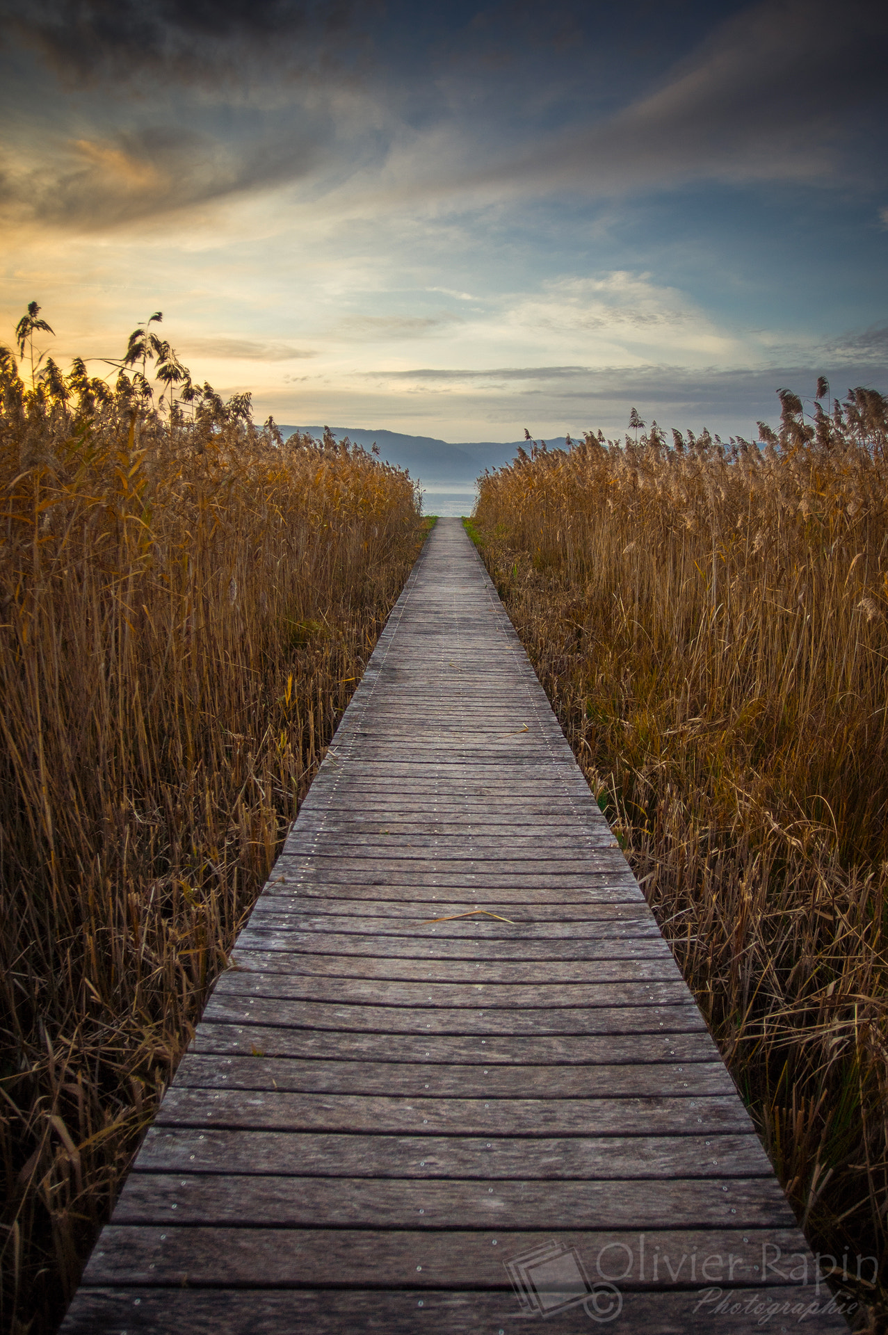 Sony a7 + Sigma 20mm F1.8 EX DG Aspherical RF sample photo. Le chemin photography