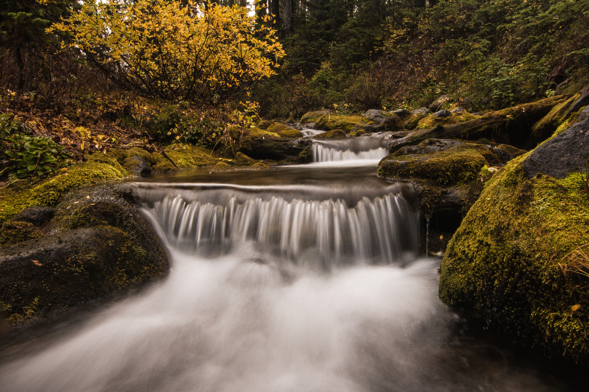 Canon EOS 750D (EOS Rebel T6i / EOS Kiss X8i) sample photo. Flowing whitewater creek photography