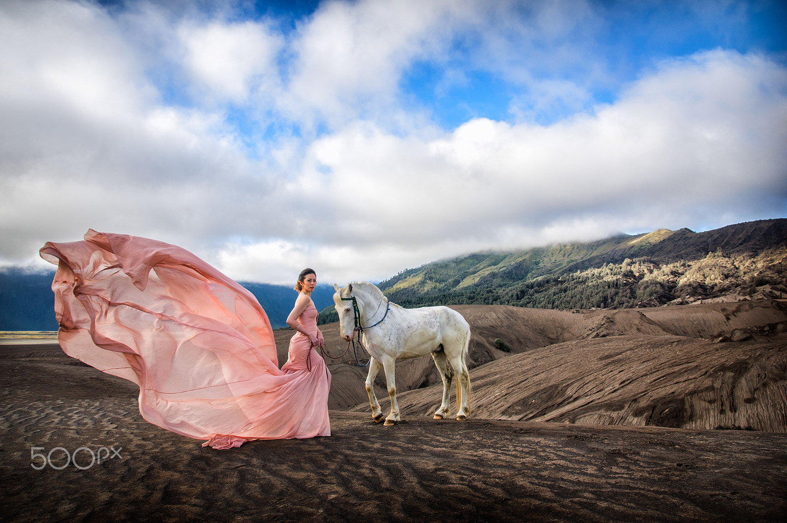 Sigma 17-70mm F2.8-4 DC Macro HSM | C sample photo. Lost in paradise photography