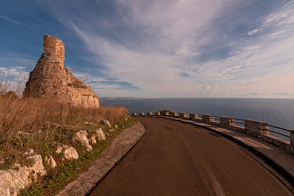 Nikon D300S sample photo. End of the road photography