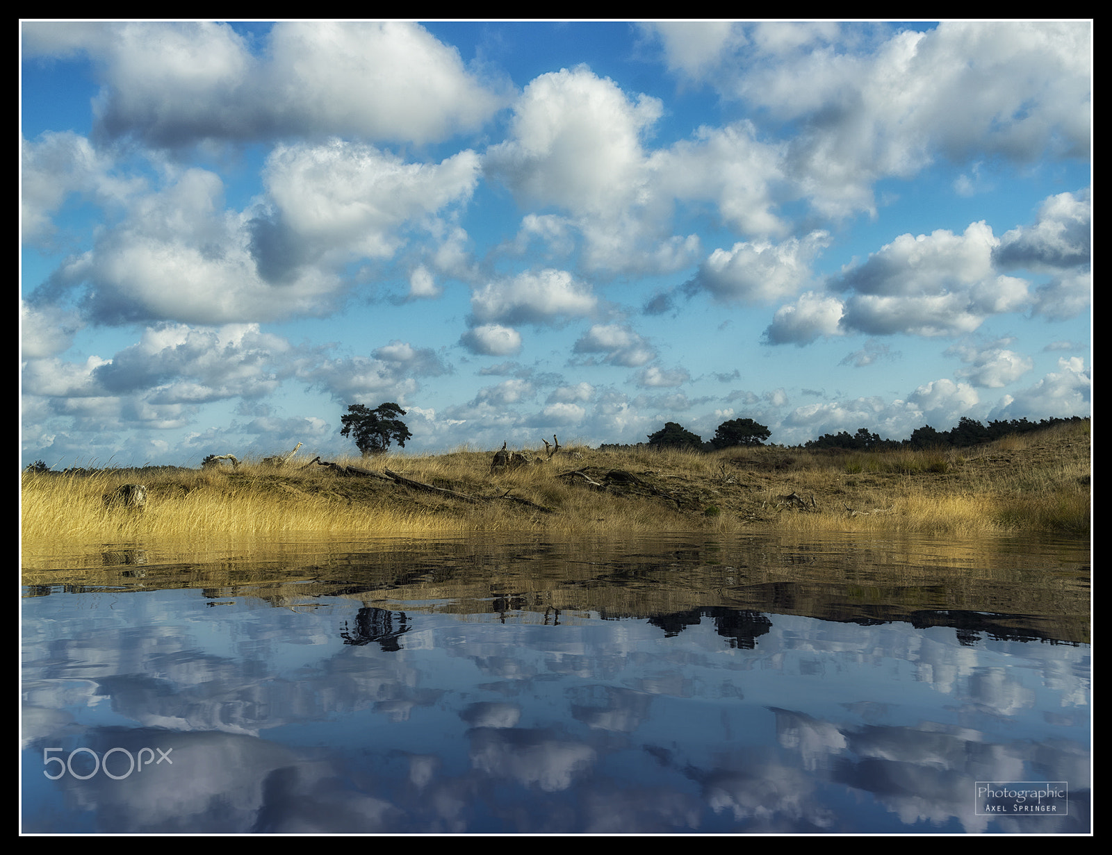 Pentax K-3 sample photo. Reflected nature photography