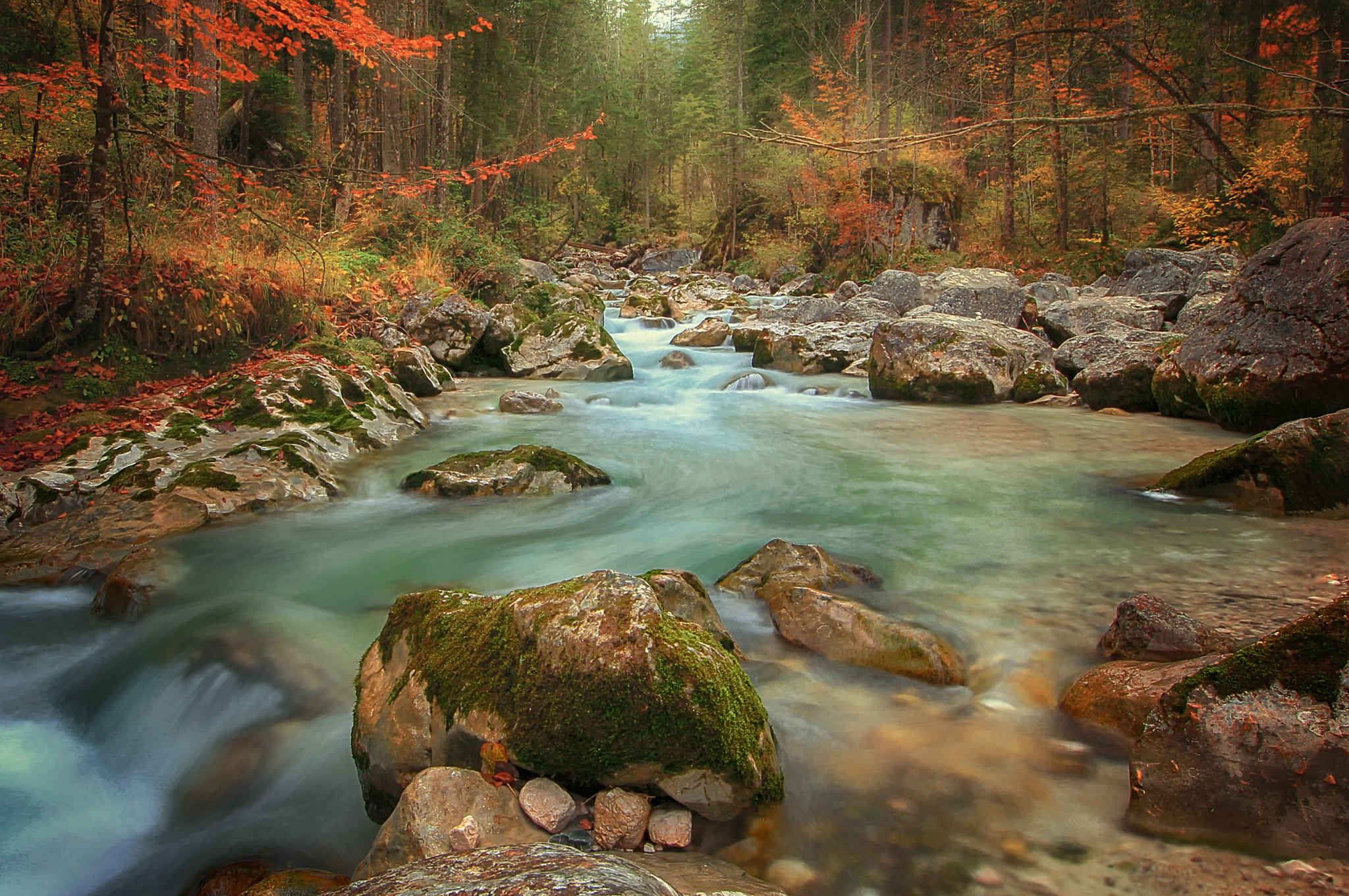 Sigma 12-24mm F4.5-5.6 II DG HSM sample photo. Zauberwald photography