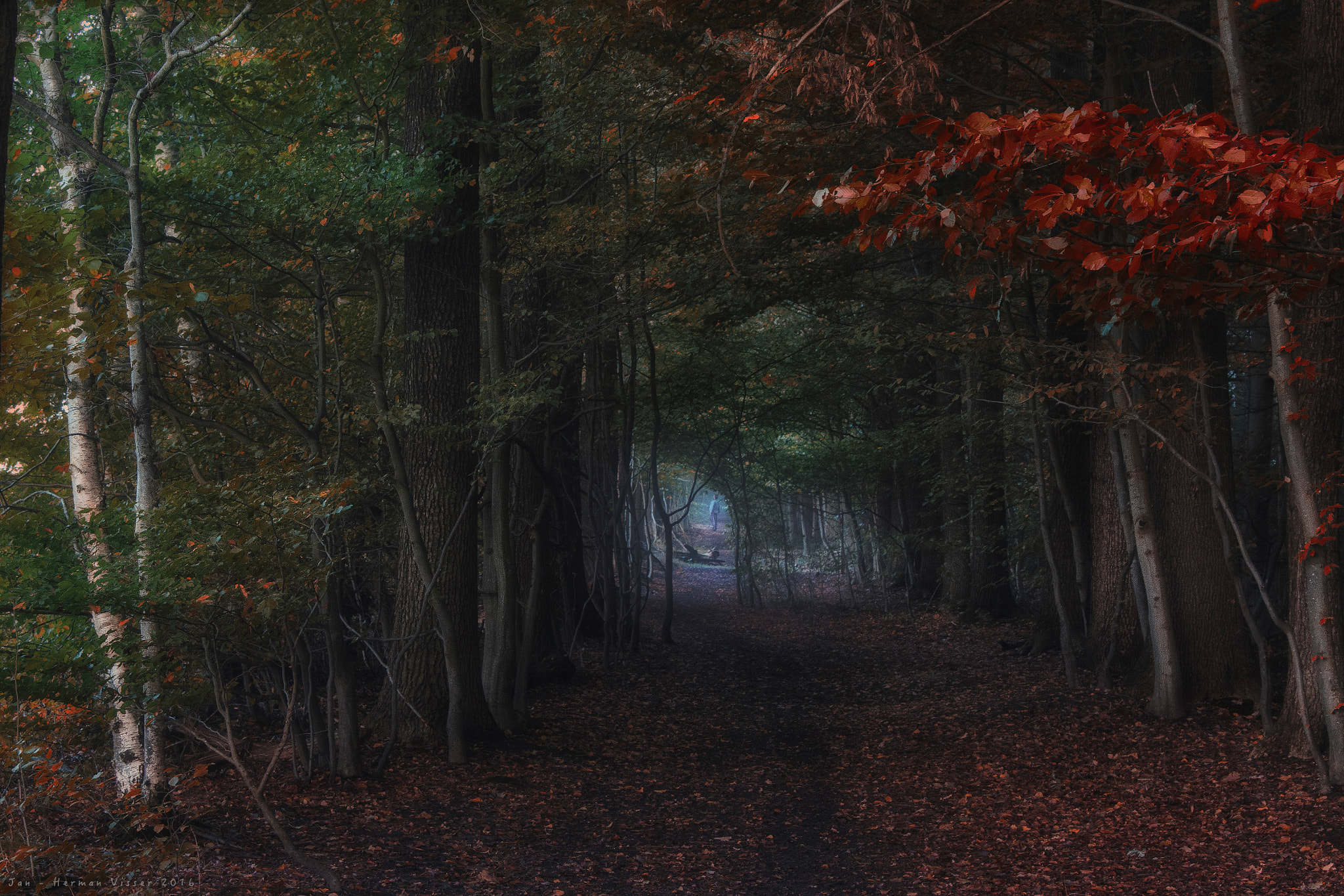 Canon EF 50-200mm f/3.5-4.5 sample photo. The man in the early morning... photography