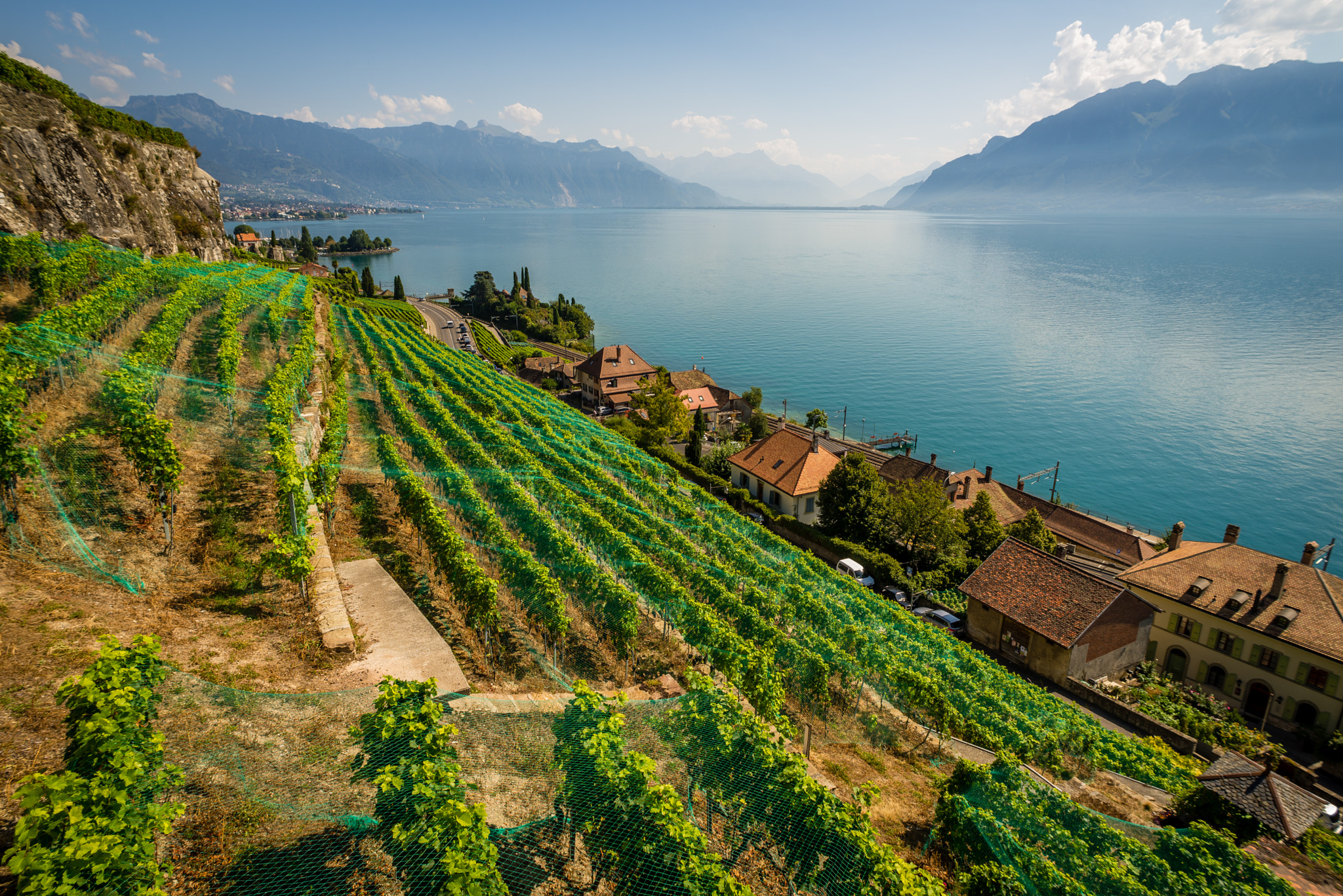 Nikon D610 + AF Nikkor 20mm f/2.8 sample photo. Switzerland vinyards around lake geneva photography