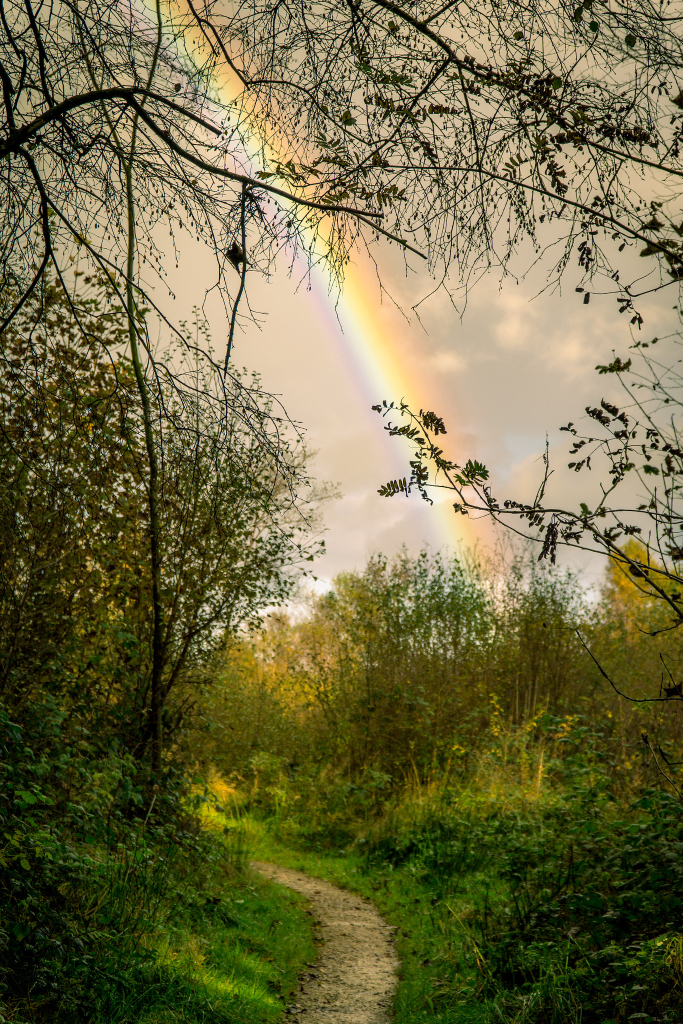 Sony a5100 sample photo. Sutton bank rainbow photography