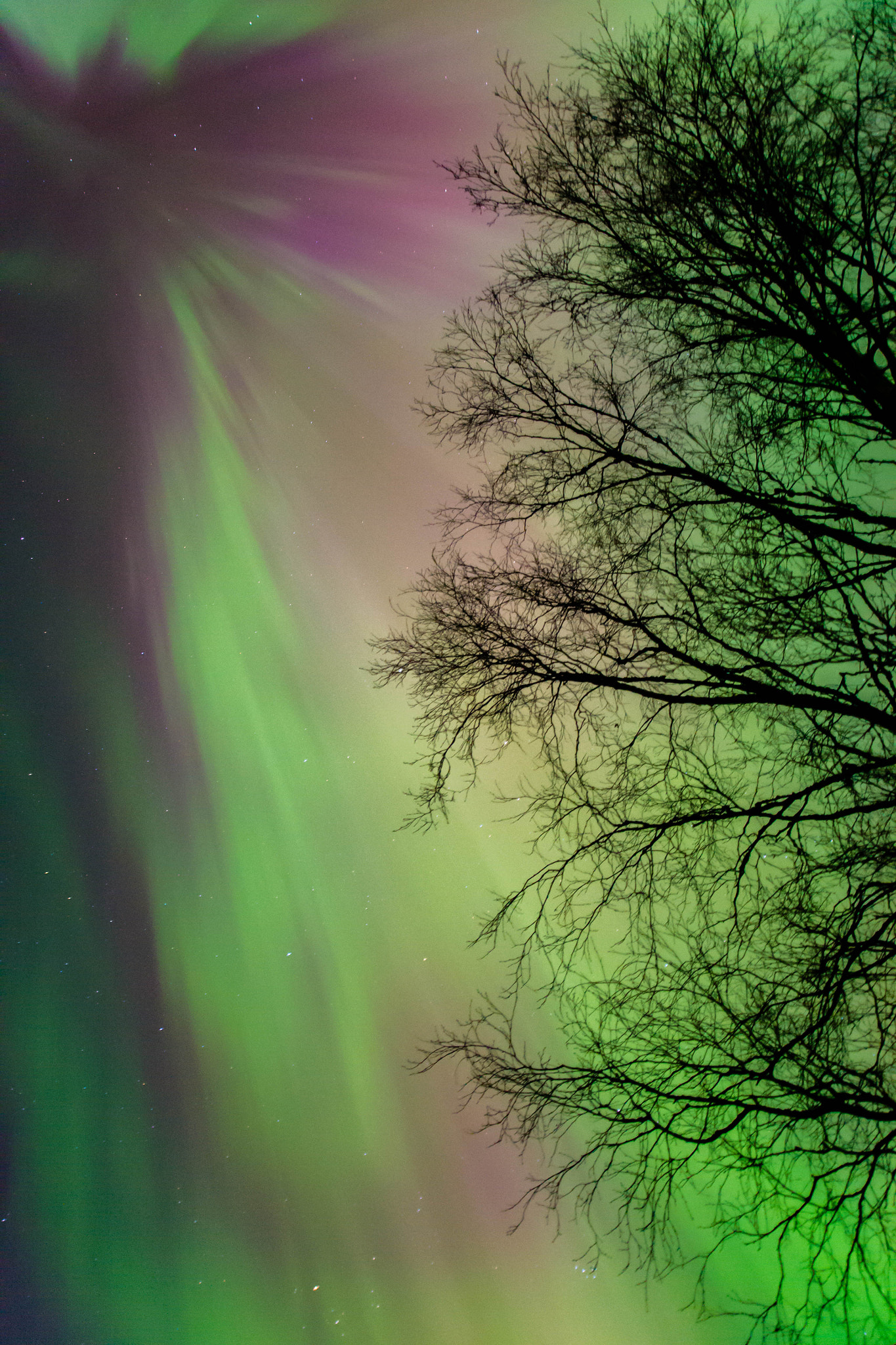 Samyang 16mm F2 ED AS UMC CS sample photo. Glowing auroras photography