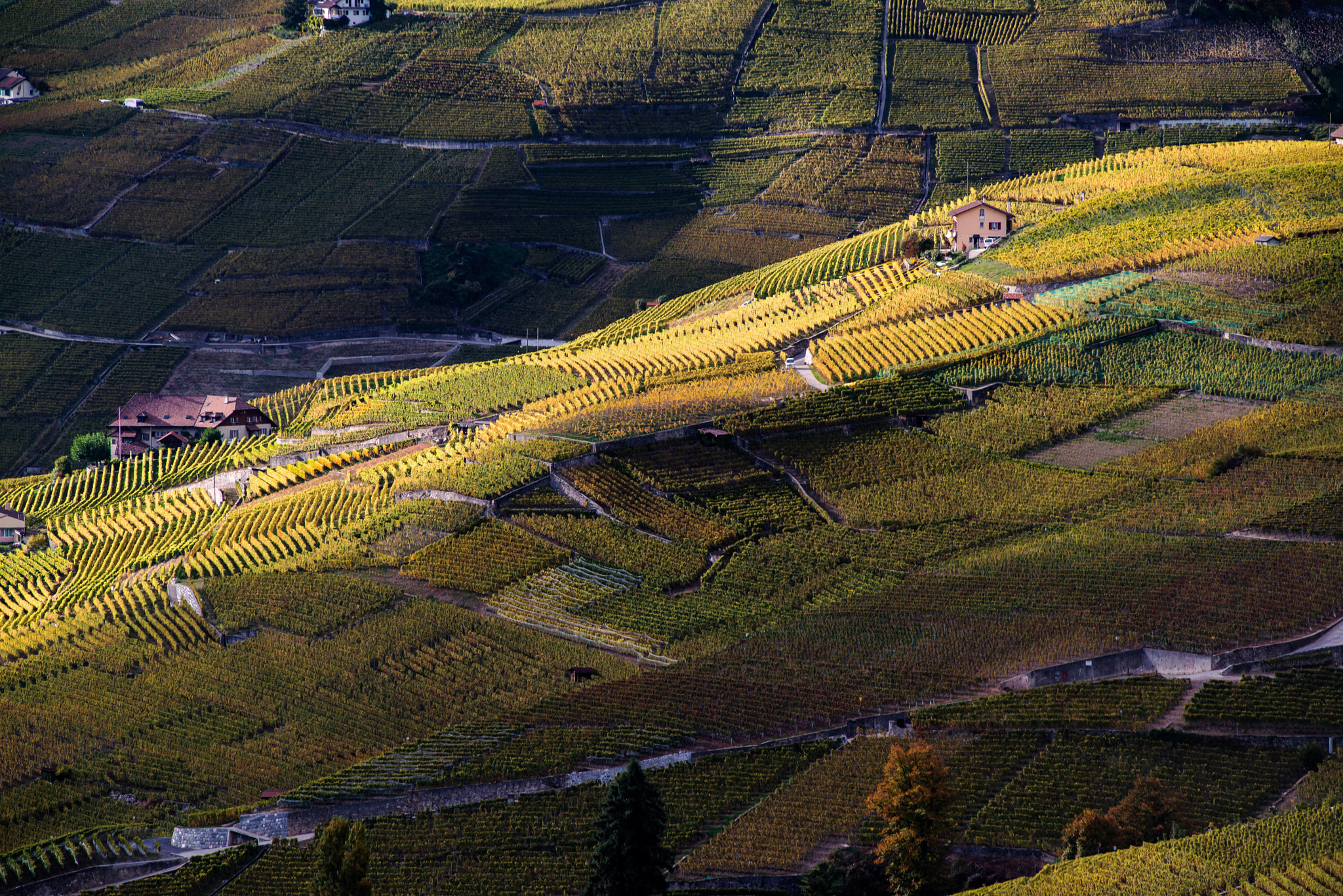 AF Zoom-Nikkor 80-200mm f/2.8 ED sample photo. Juste une bande de lumière... photography