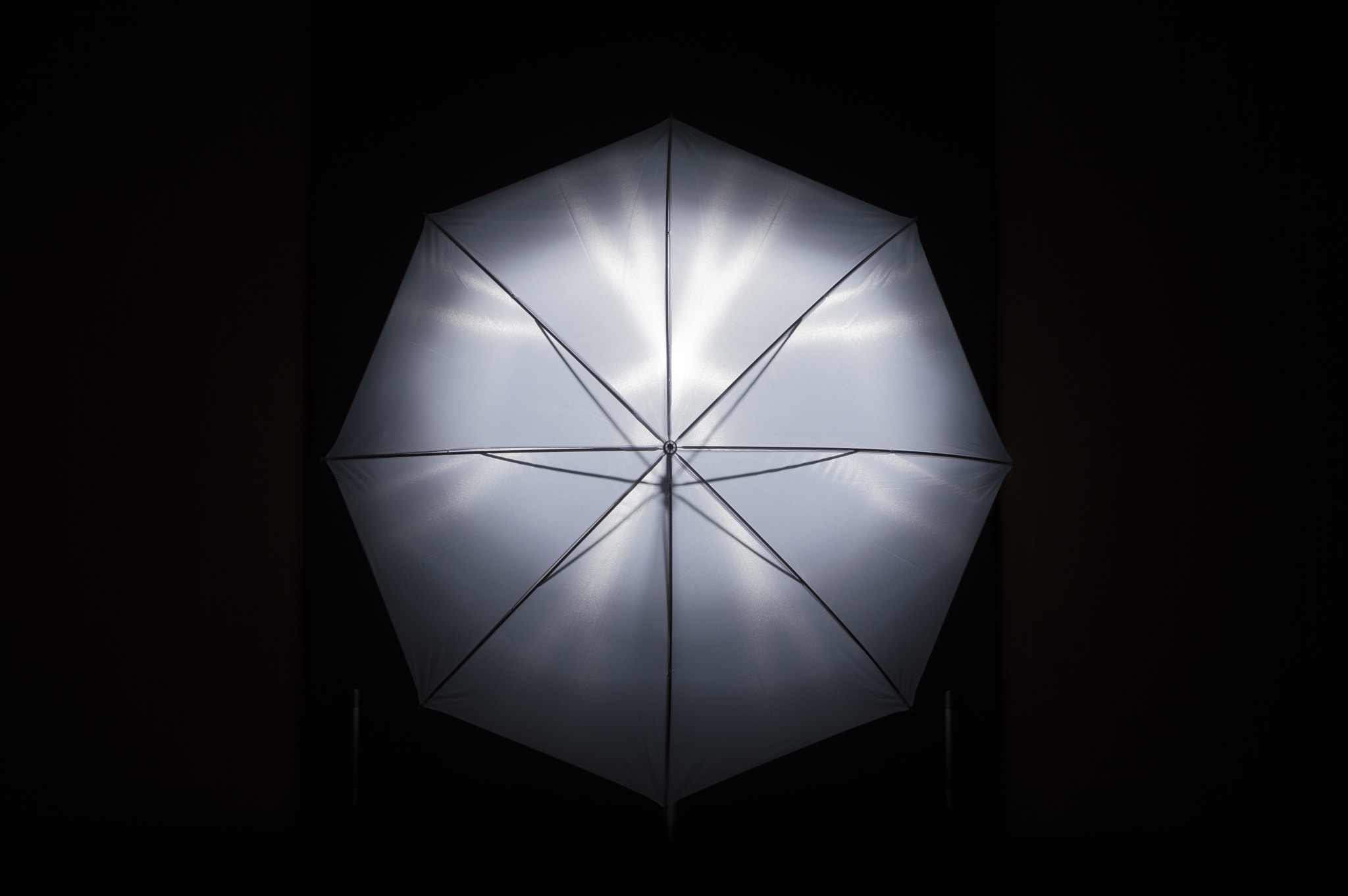 Tamron SP 24-70mm F2.8 Di VC USD sample photo. Tried my new umbrella with wireless flash triggers photography