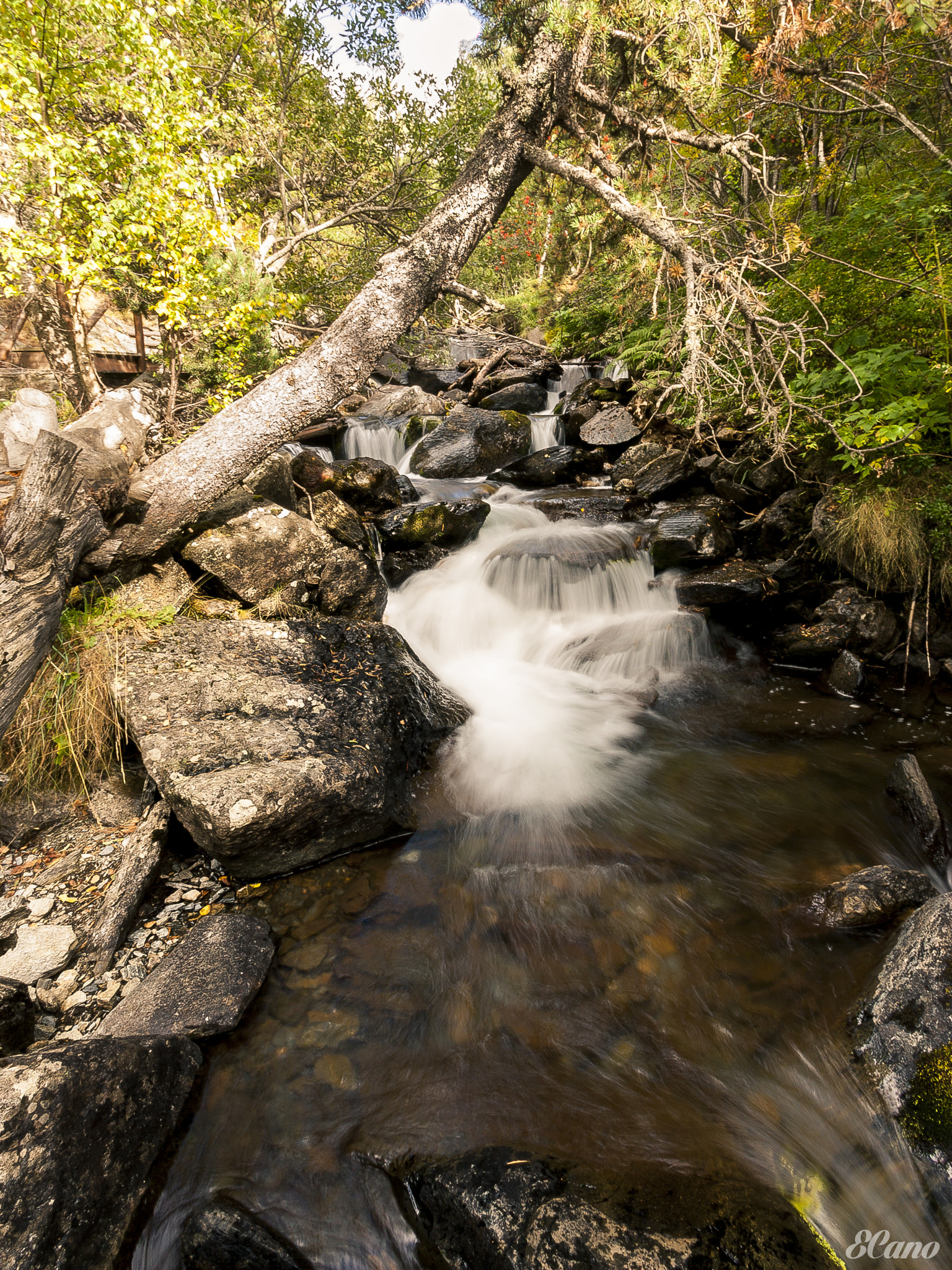 Sigma 10-20mm F3.5 EX DC HSM sample photo. The river iv photography
