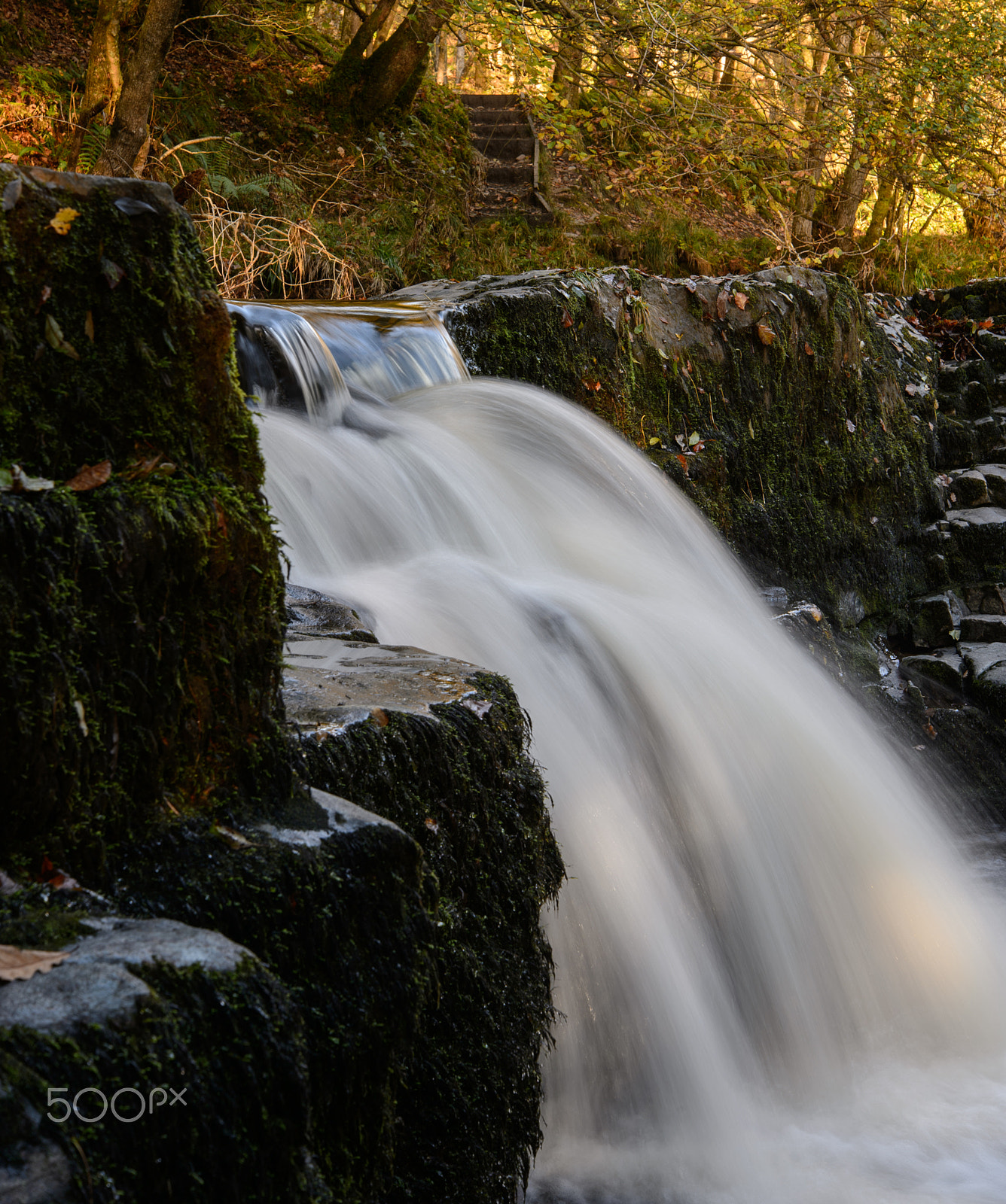 Nikon D4 sample photo. Multiple titles photography