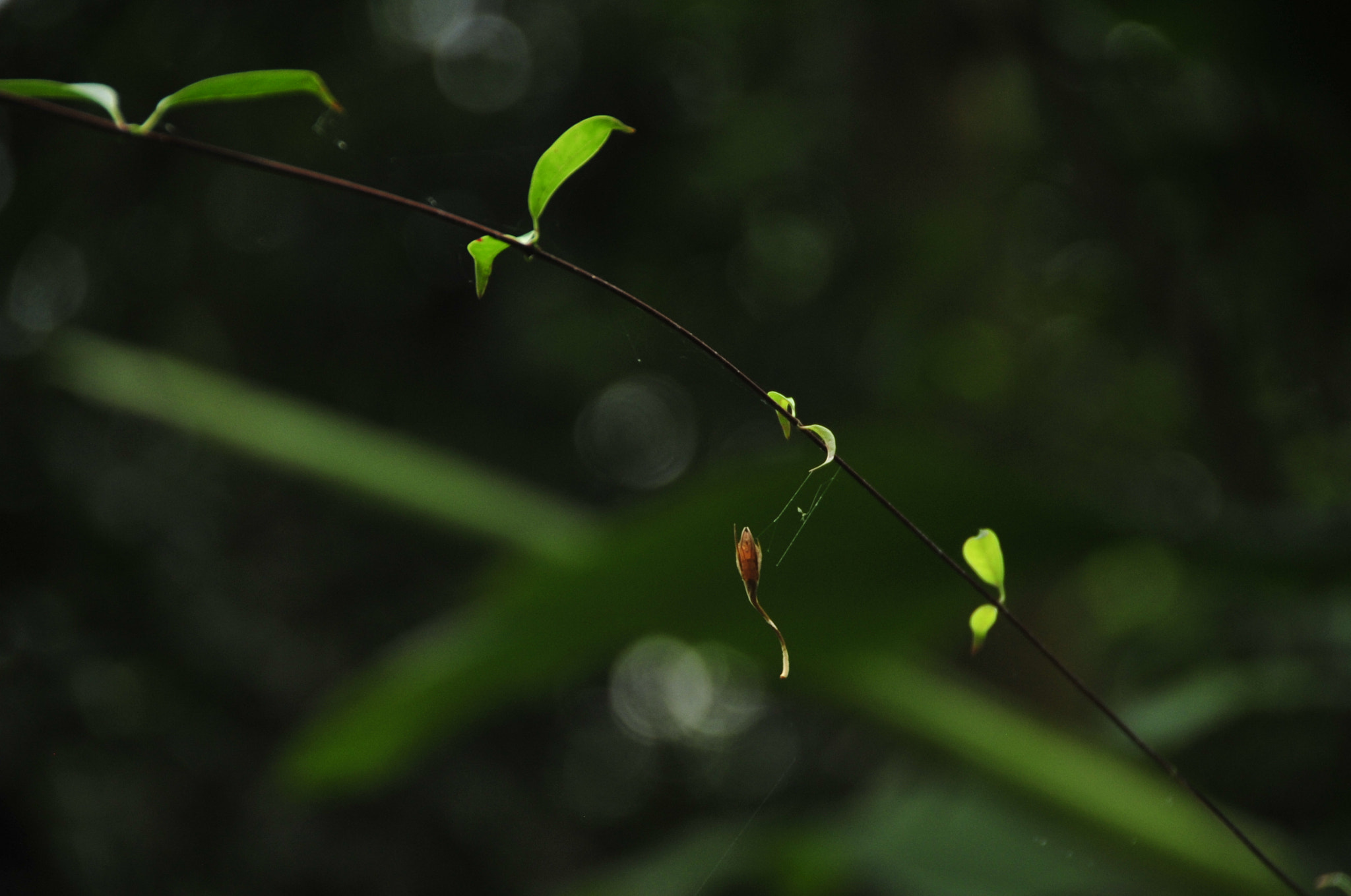 Nikon D3 sample photo. .. photography
