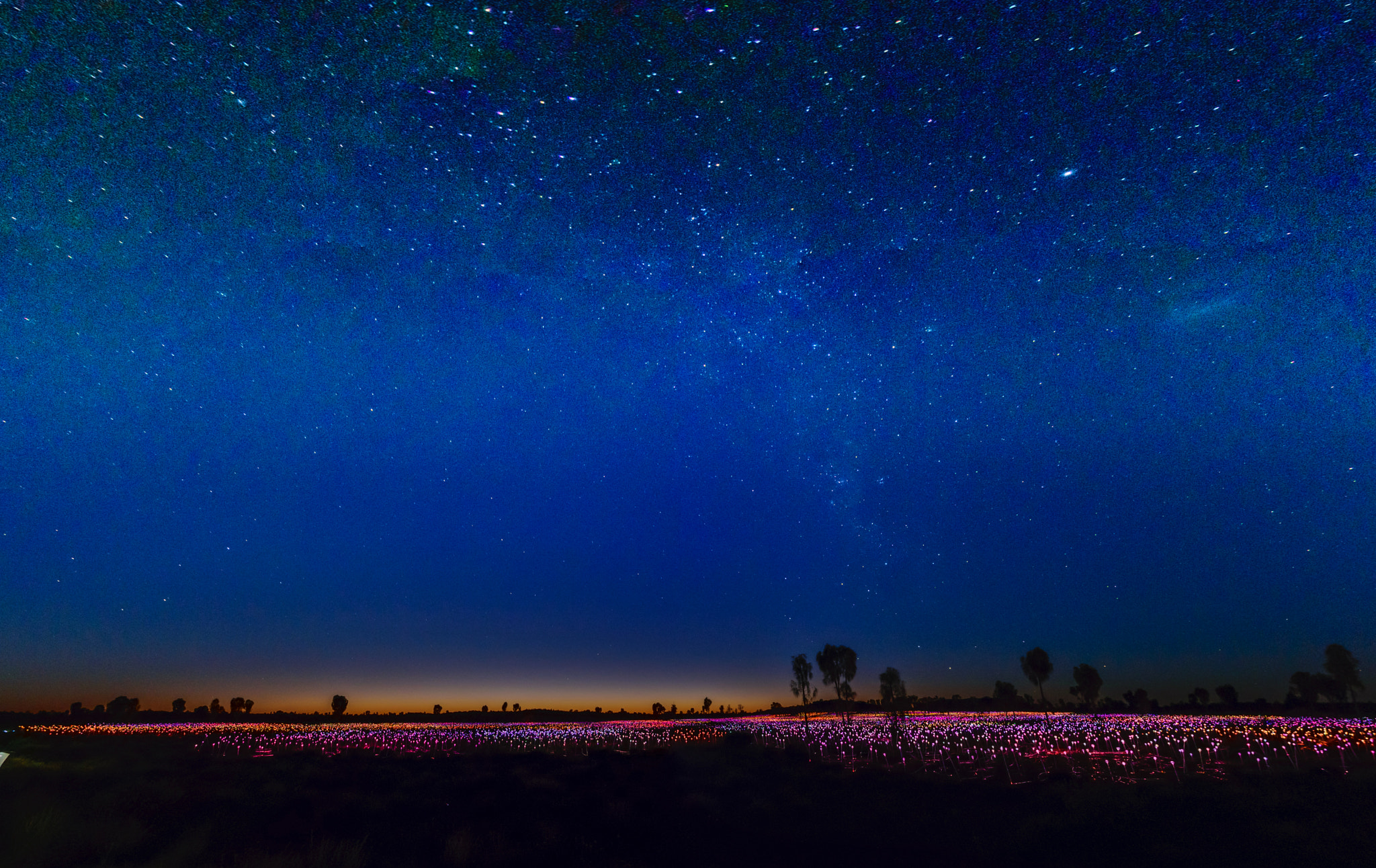 Nikon AF DX Fisheye-Nikkor 10.5mm F2.8G ED sample photo. Night @ the field of lights photography