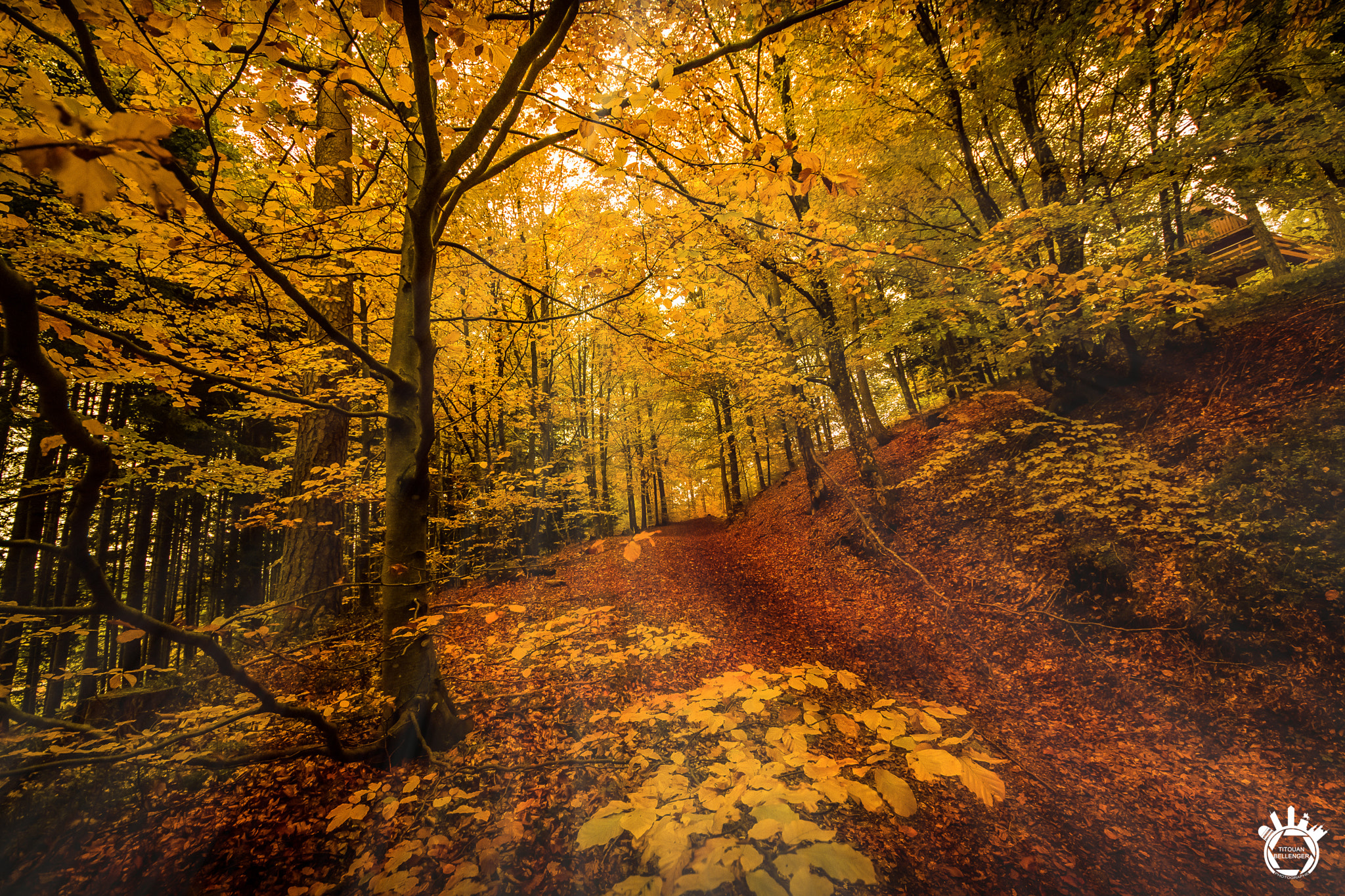 Canon EOS 700D (EOS Rebel T5i / EOS Kiss X7i) + Sigma 8-16mm F4.5-5.6 DC HSM sample photo. Autumn landscape photography