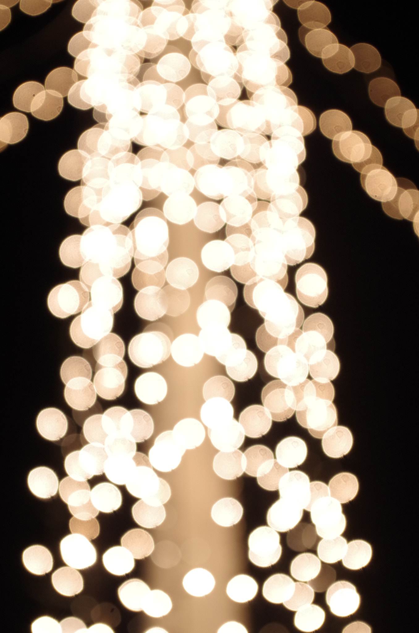 Pentax K-30 sample photo. Bokeh - photography photography