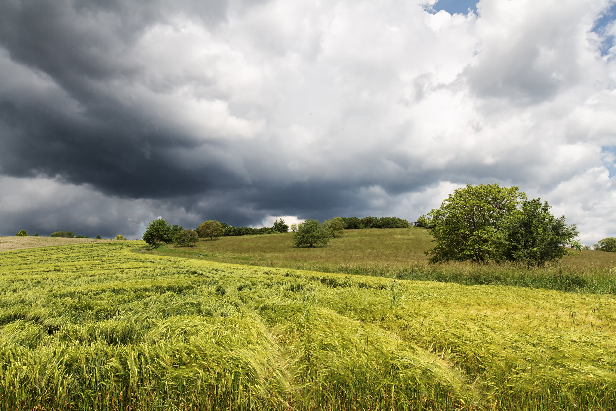 Canon EF 16-35mm F4L IS USM sample photo. Orage photography