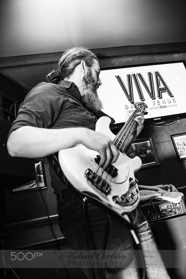 Canon EOS 5D sample photo. It's all about the bass photography