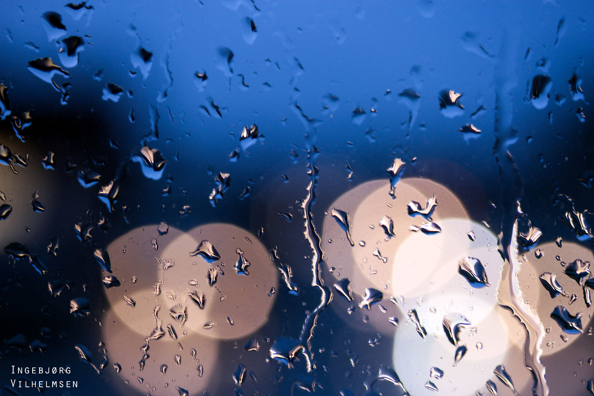 Canon EF-S 60mm F2.8 Macro USM sample photo. Rain photography