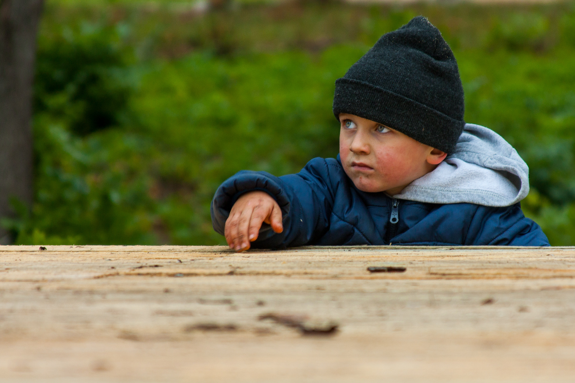 Canon EF 28-135mm F3.5-5.6 IS USM sample photo. Little thinker photography