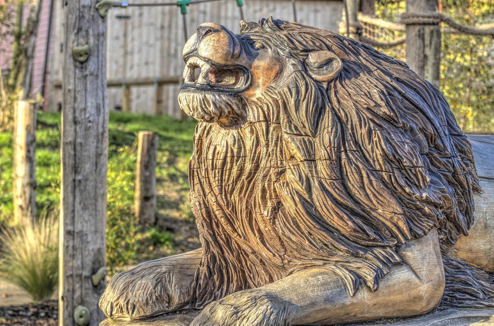 Nikon AF-S Nikkor 70-200mm F4G ED VR sample photo. Woody the lion king (1681) photography