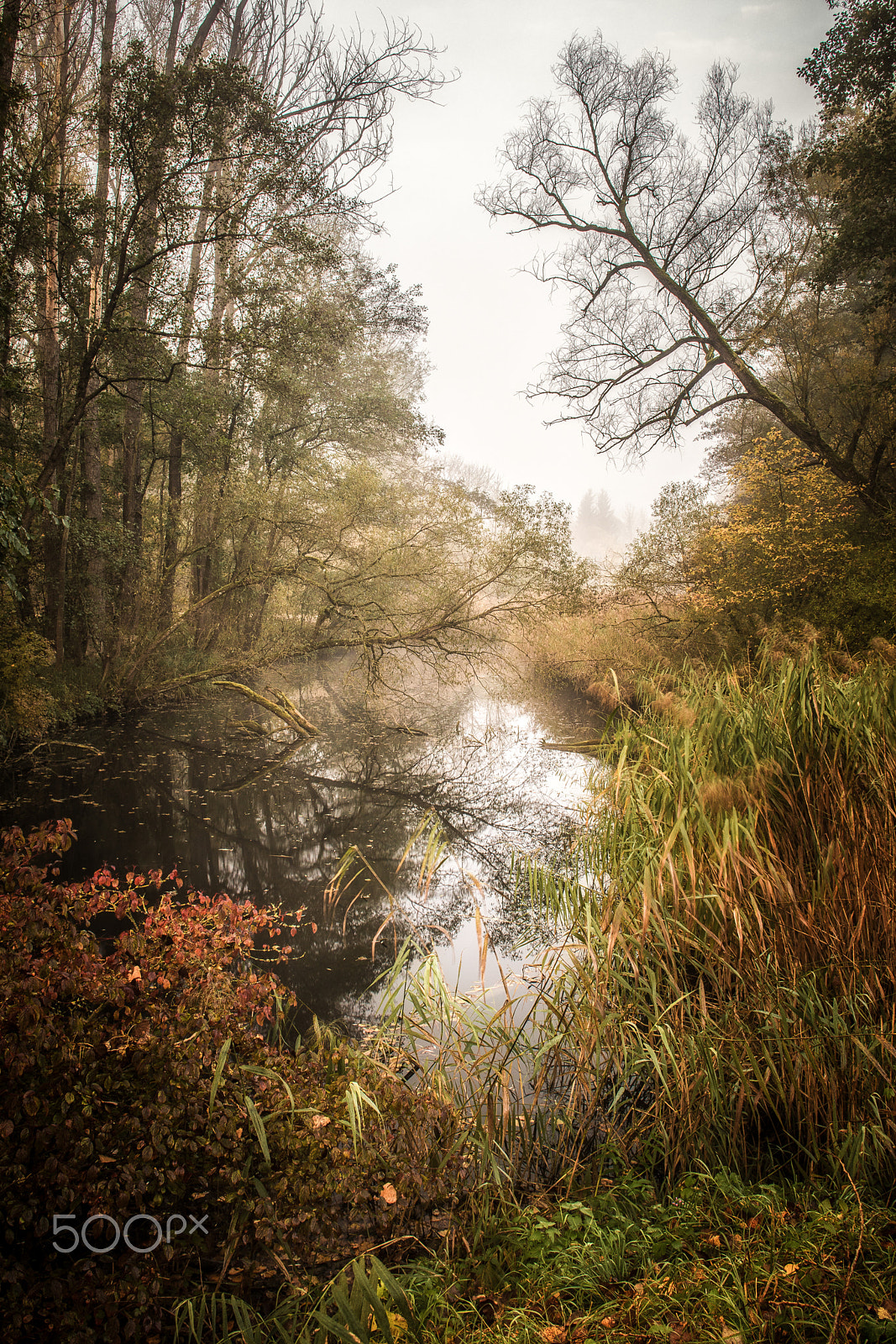 Canon EF 24mm F2.8 IS USM sample photo. Colors of autumn photography