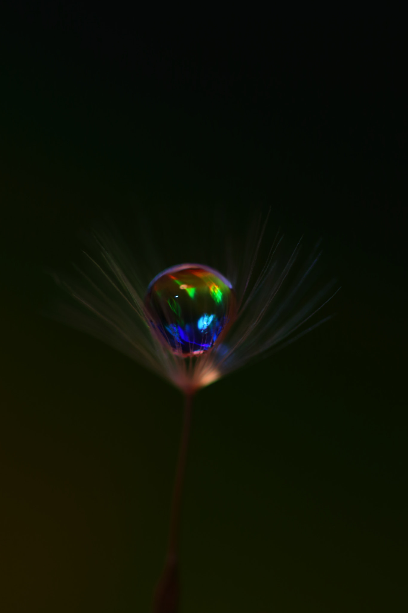 Canon EOS 700D (EOS Rebel T5i / EOS Kiss X7i) sample photo. Caught rainbow photography