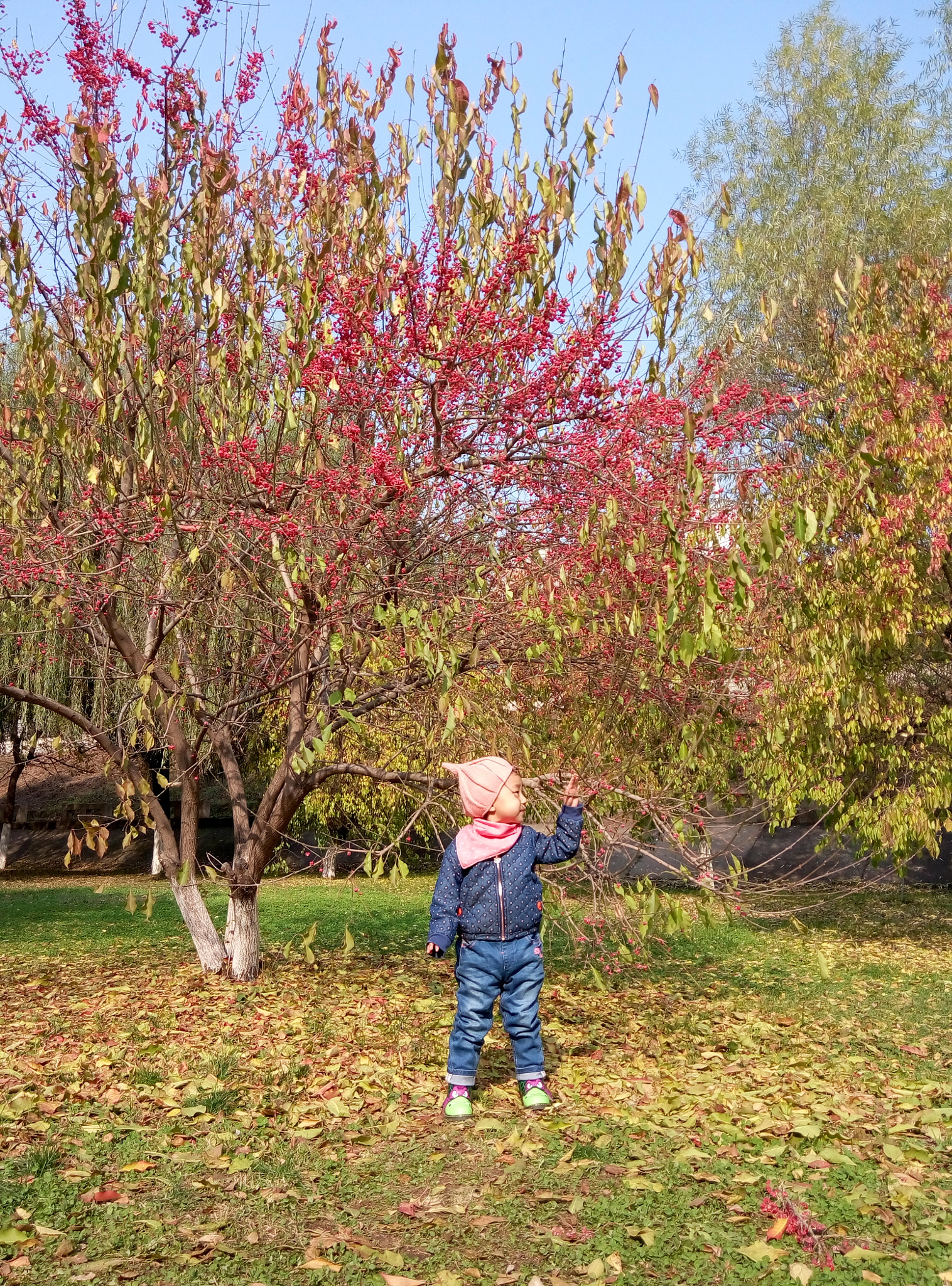 Meizu m1 note sample photo. A little girl in fall photography