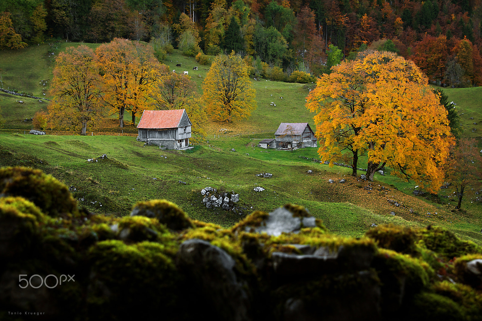 Canon EOS 60D + Canon EF 24-70mm F2.8L II USM sample photo. Homeland photography