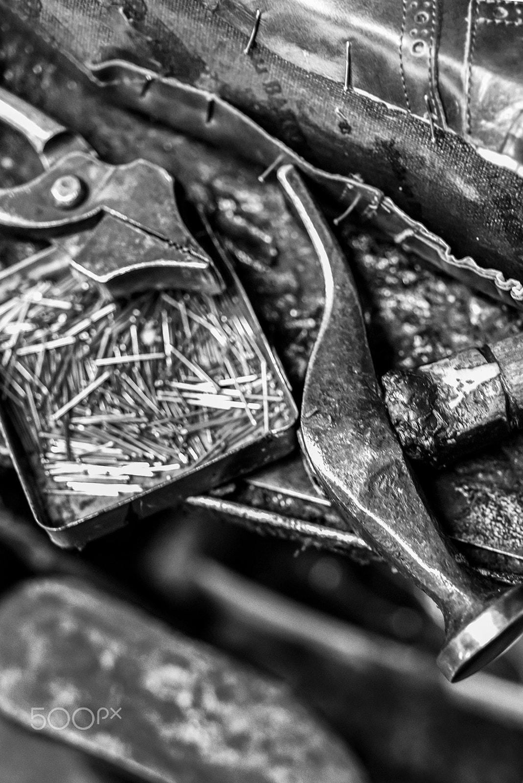 Nikon D800 + Nikon AF Micro-Nikkor 60mm F2.8D sample photo. Handmade..... photography