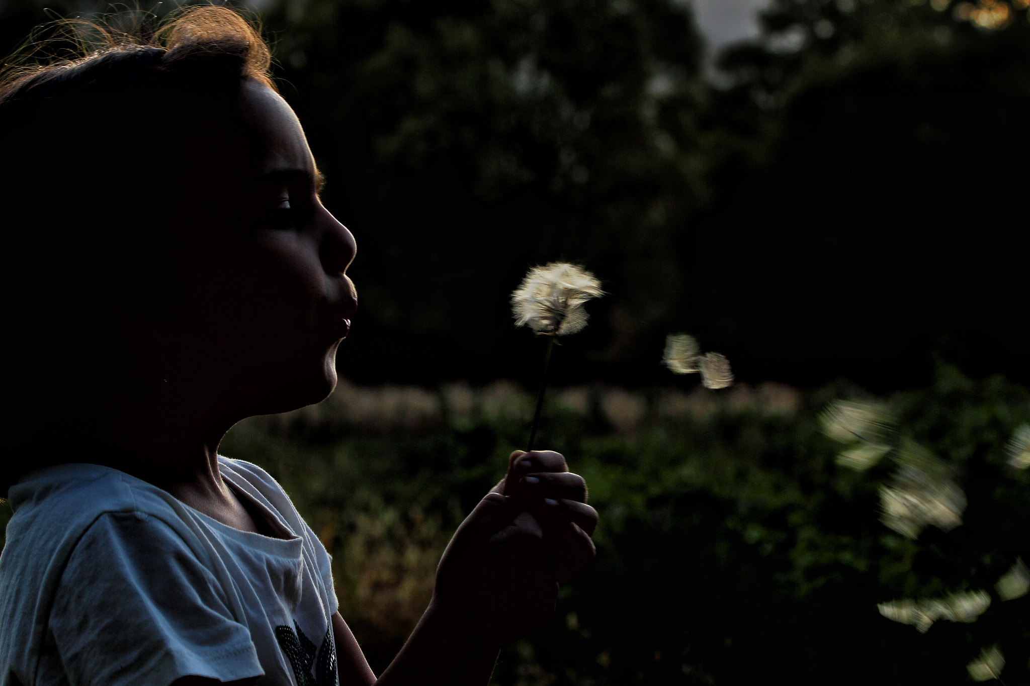 Canon EOS M sample photo. Infantine photography