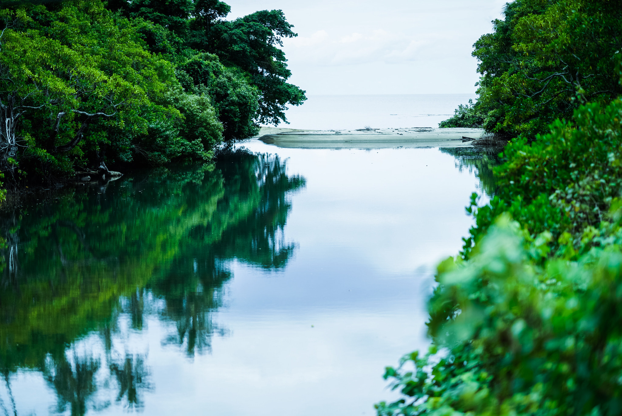 Sony FE 85mm F1.4 GM sample photo. Pouebo seaside, new caledonia photography