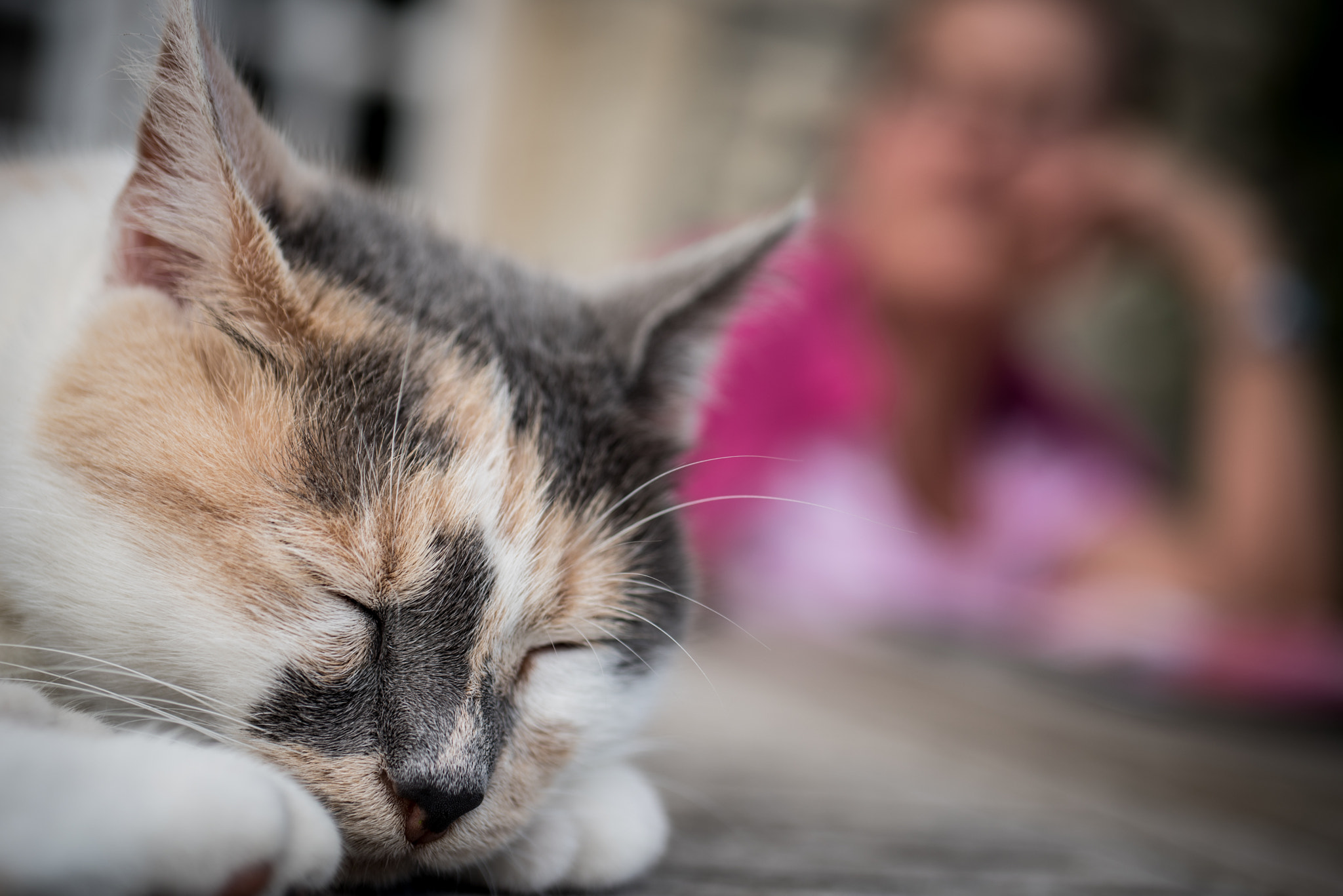 Nikon D750 + Sigma 50mm F2.8 EX DG Macro sample photo. Softness moment photography