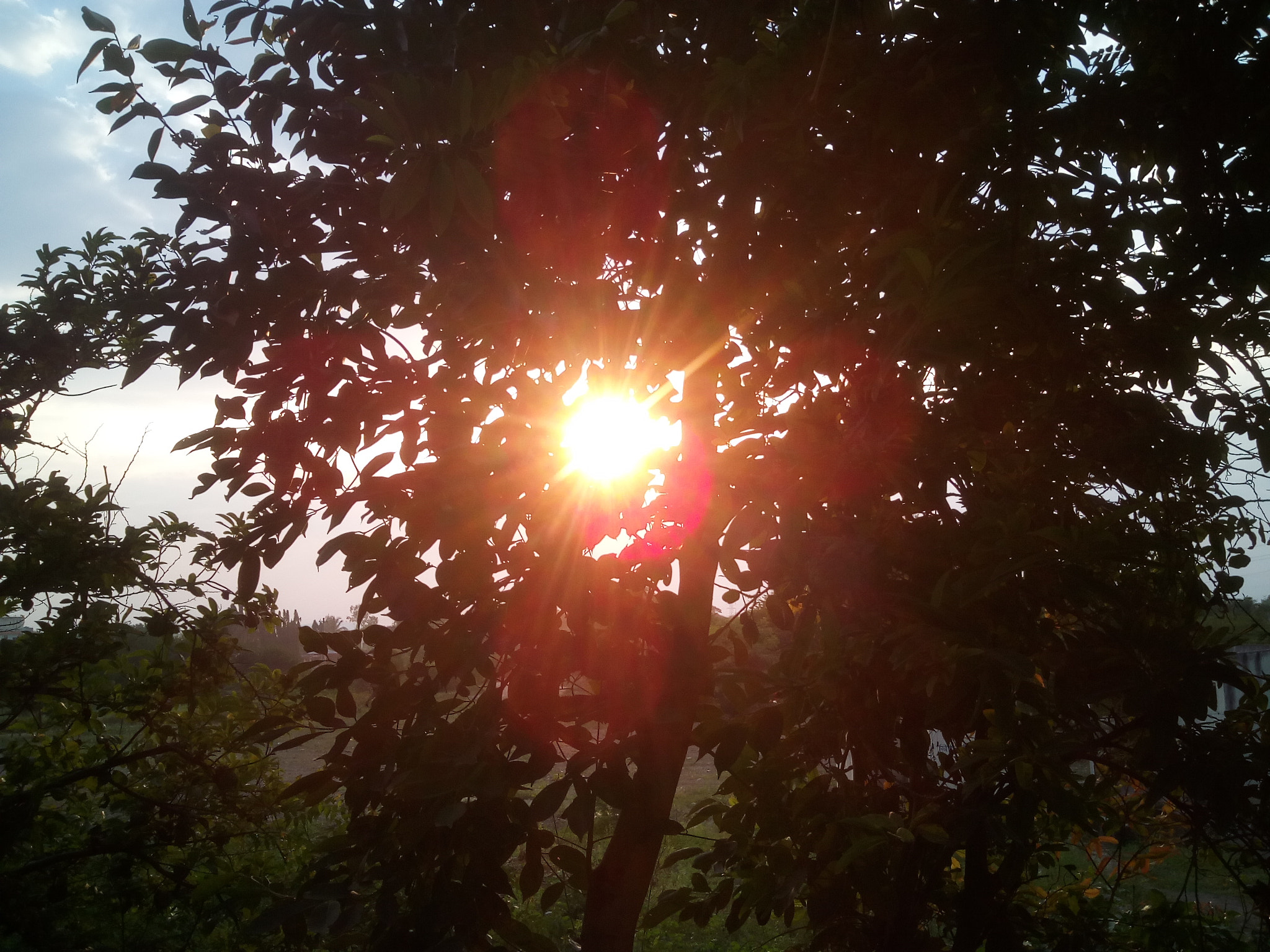 Micromax Canvas A1 sample photo